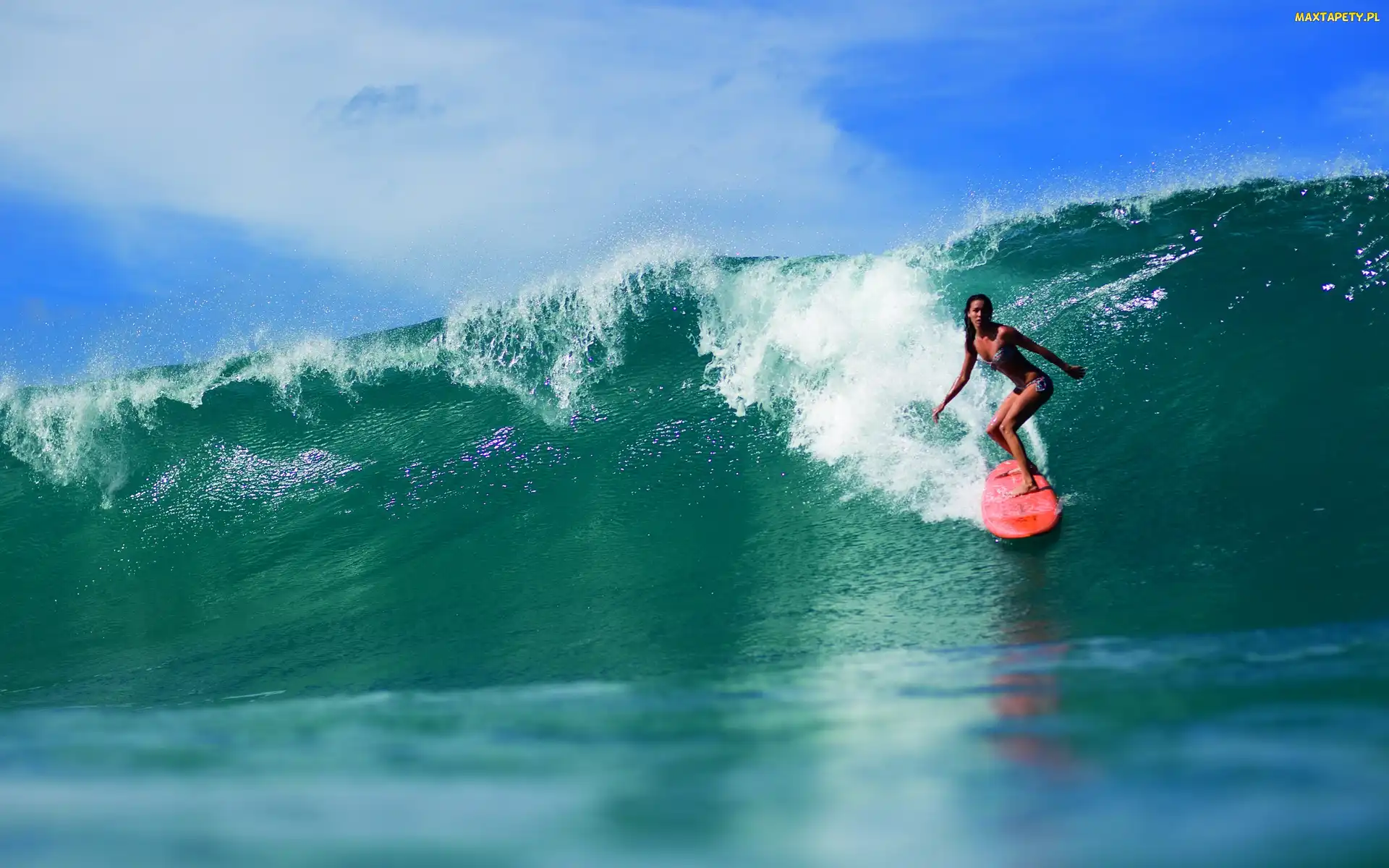 Fala, Wysoka, Kobieta, Surfing