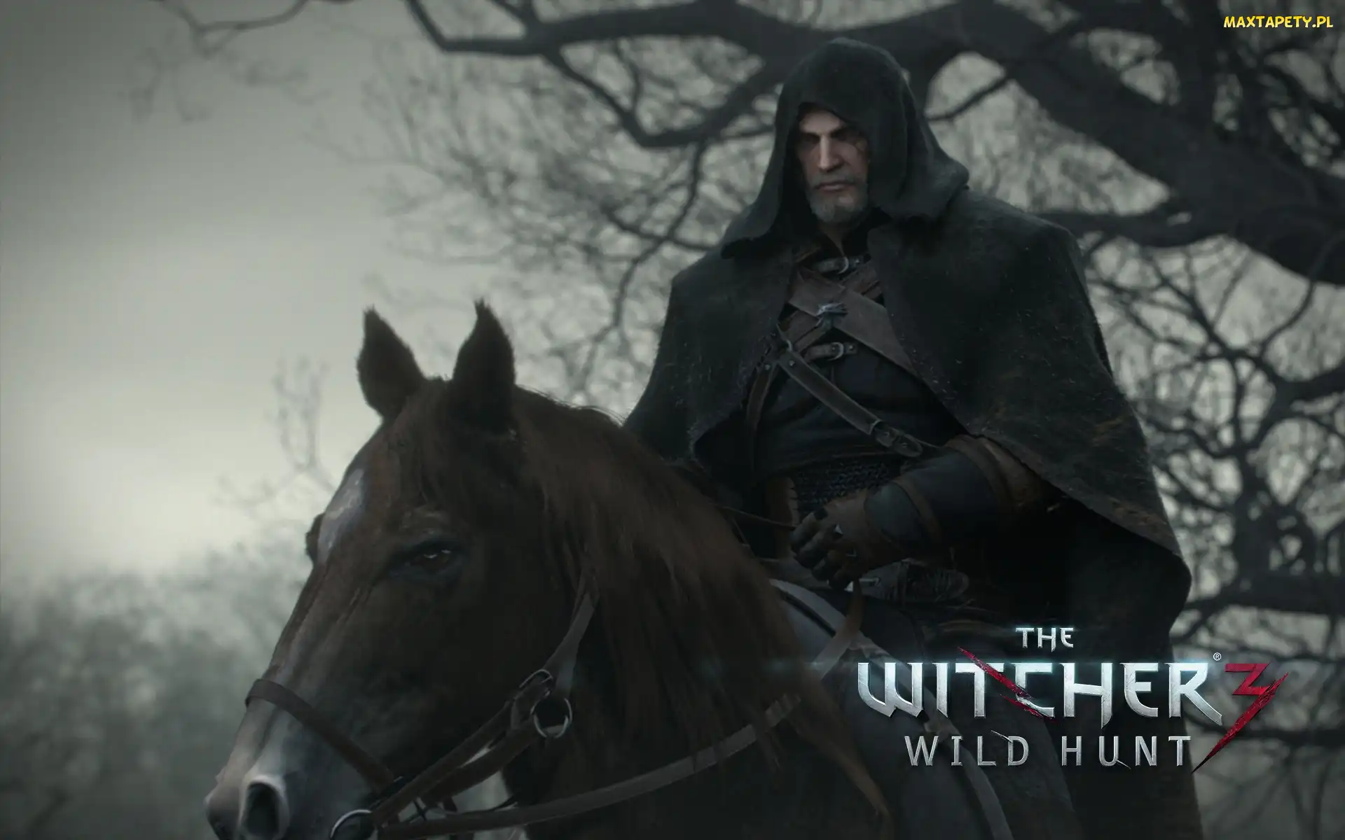 Wiedźmin 3:Dziki Gon, Geralt
