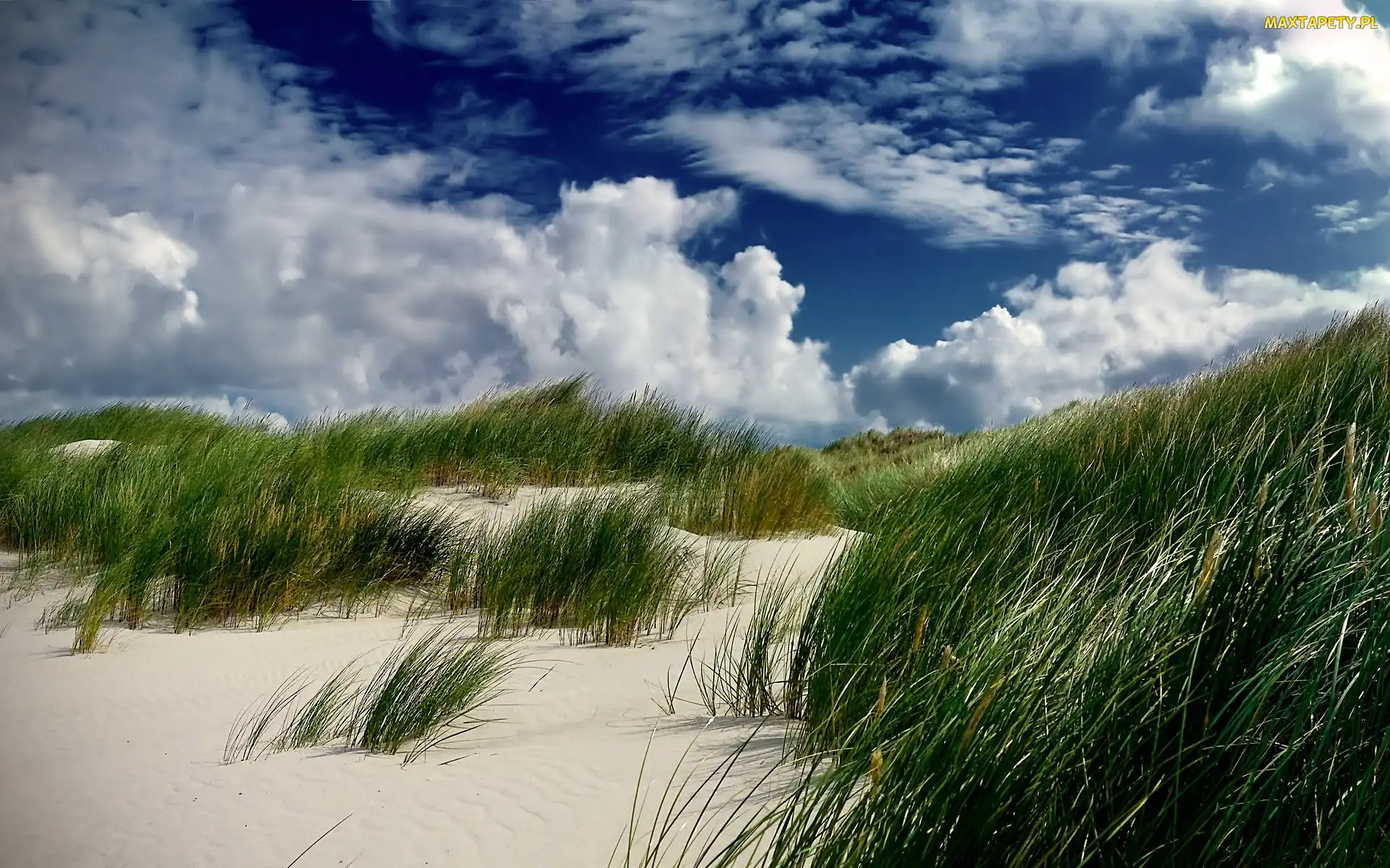Plaża, Wydmy, Chmury