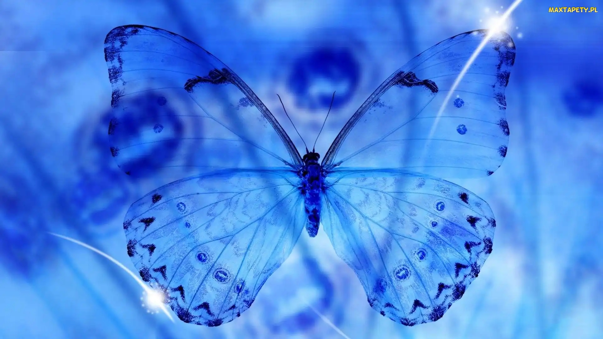 Tło, Grafika, Motyl