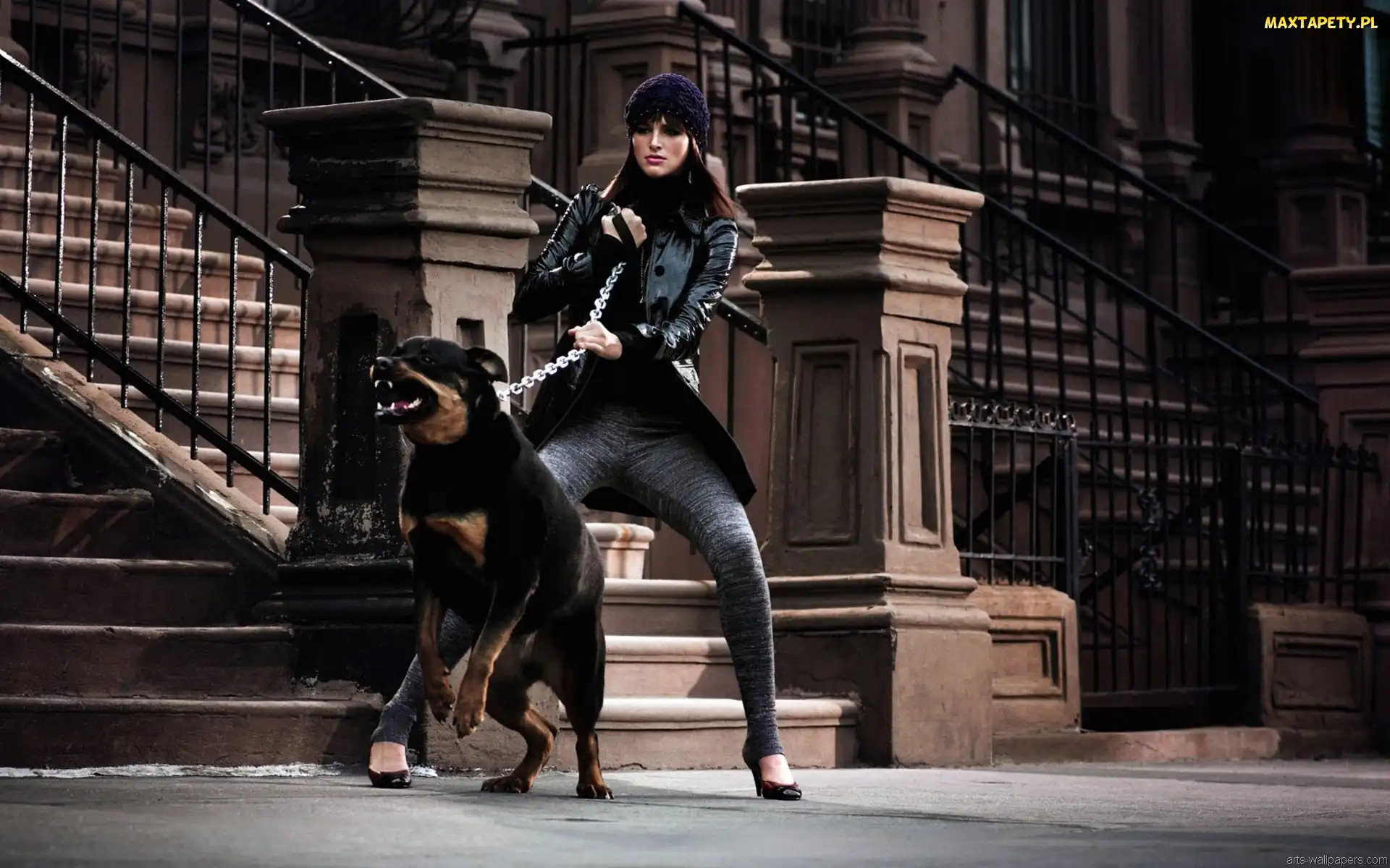 Rottweiler, Kobieta
