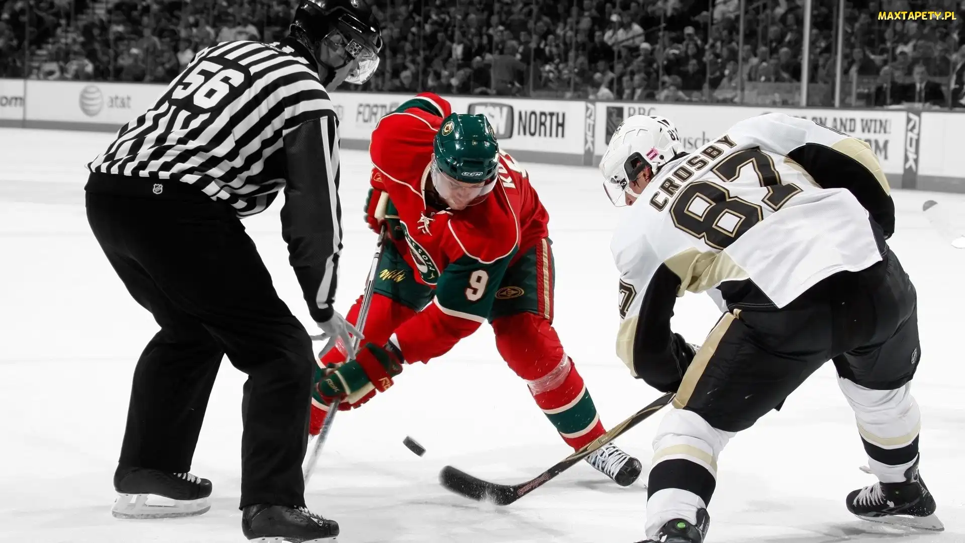 Penguis, Pittsburgh, Sidney Crosby, Hokej