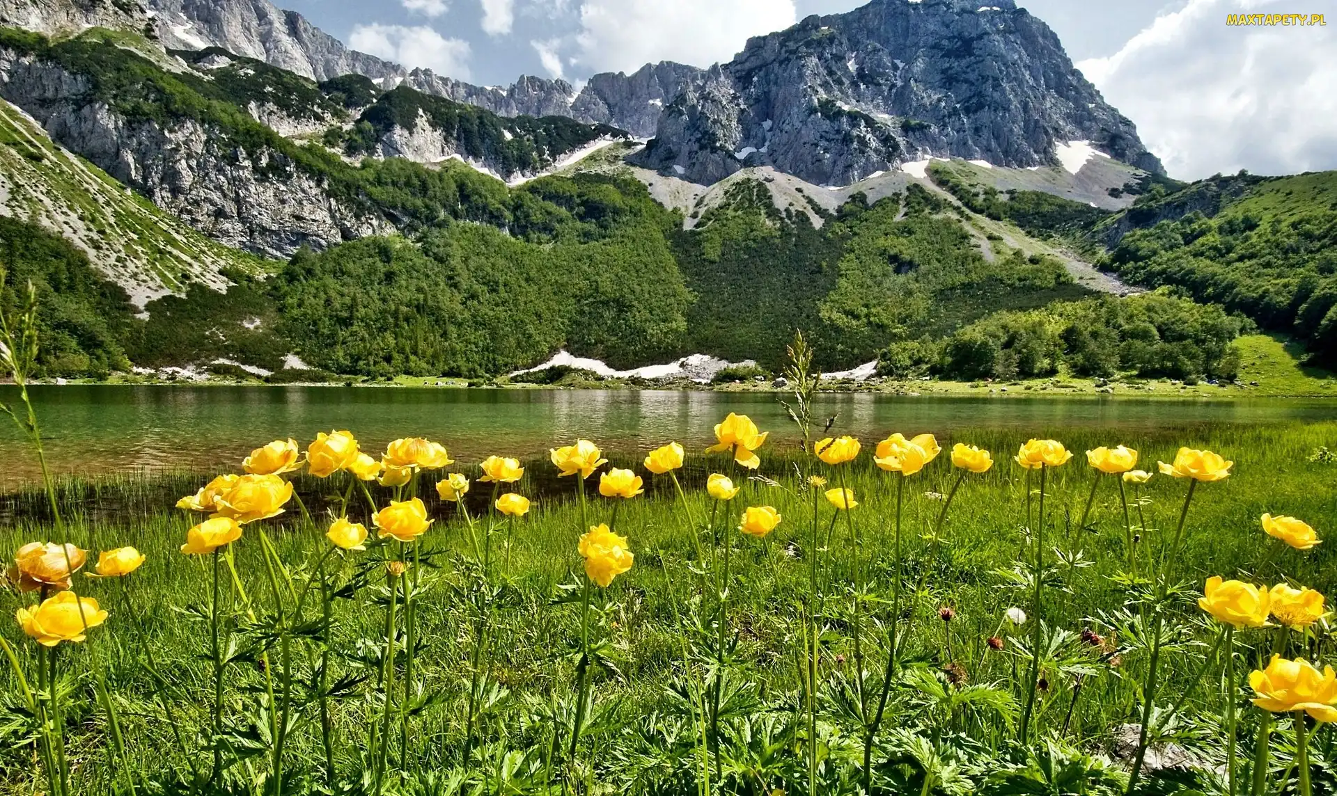 Rzeka, Góry, Łąka, Kwiaty