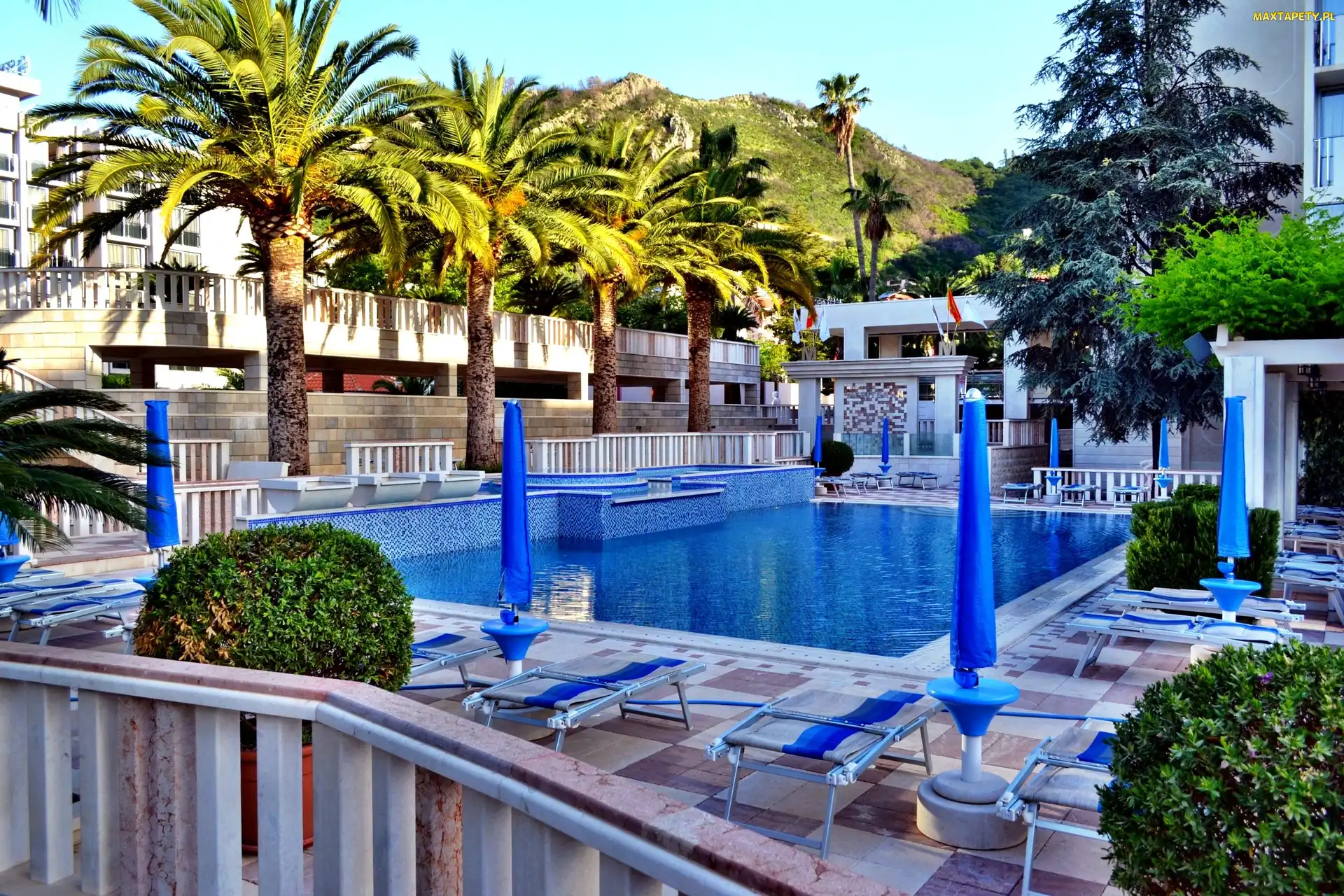 Tropik, Palmy, Hotel, Basen
