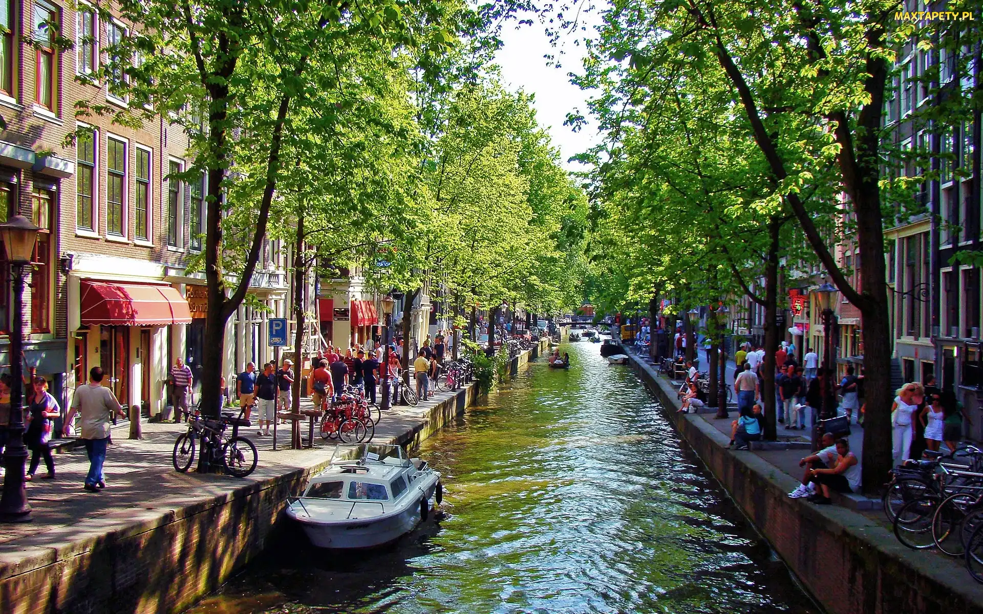 Amsterdam, Ulica