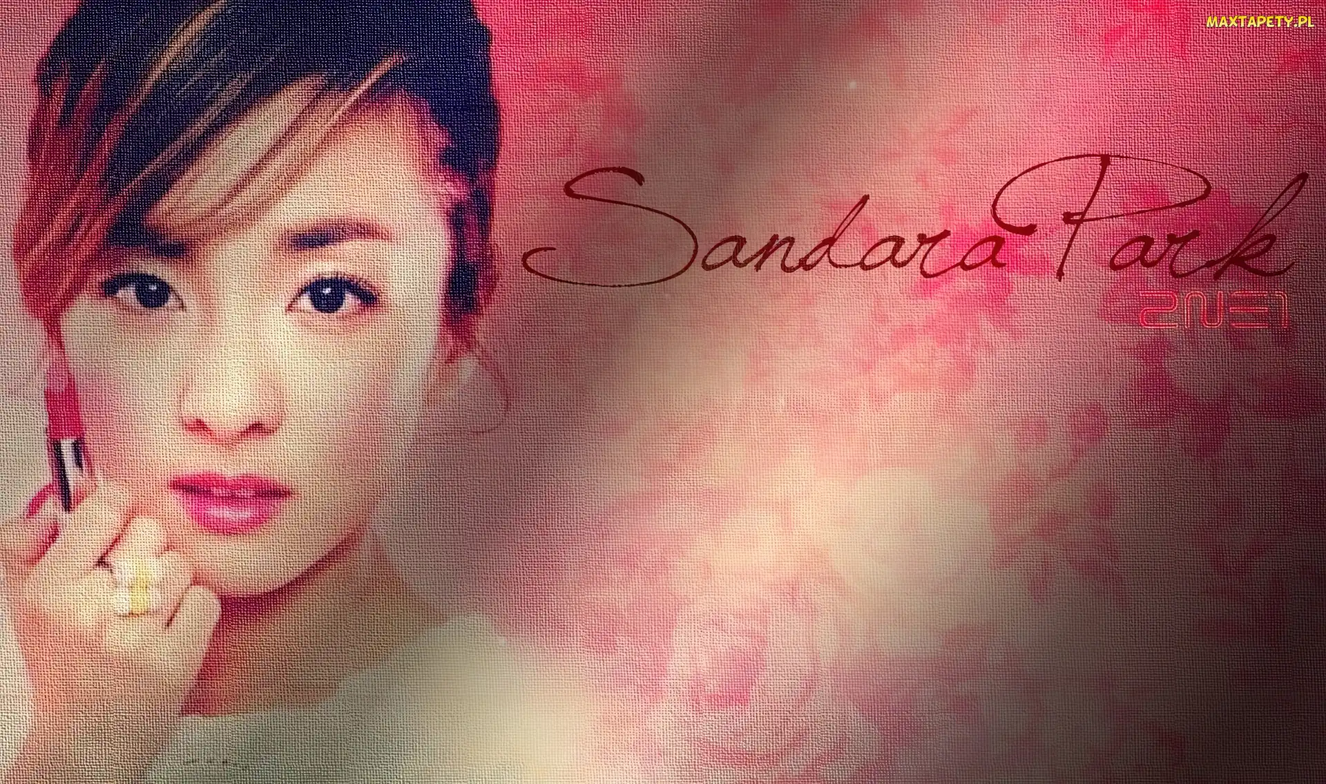 Piosenkarka, Sandara Park, K-Popowa