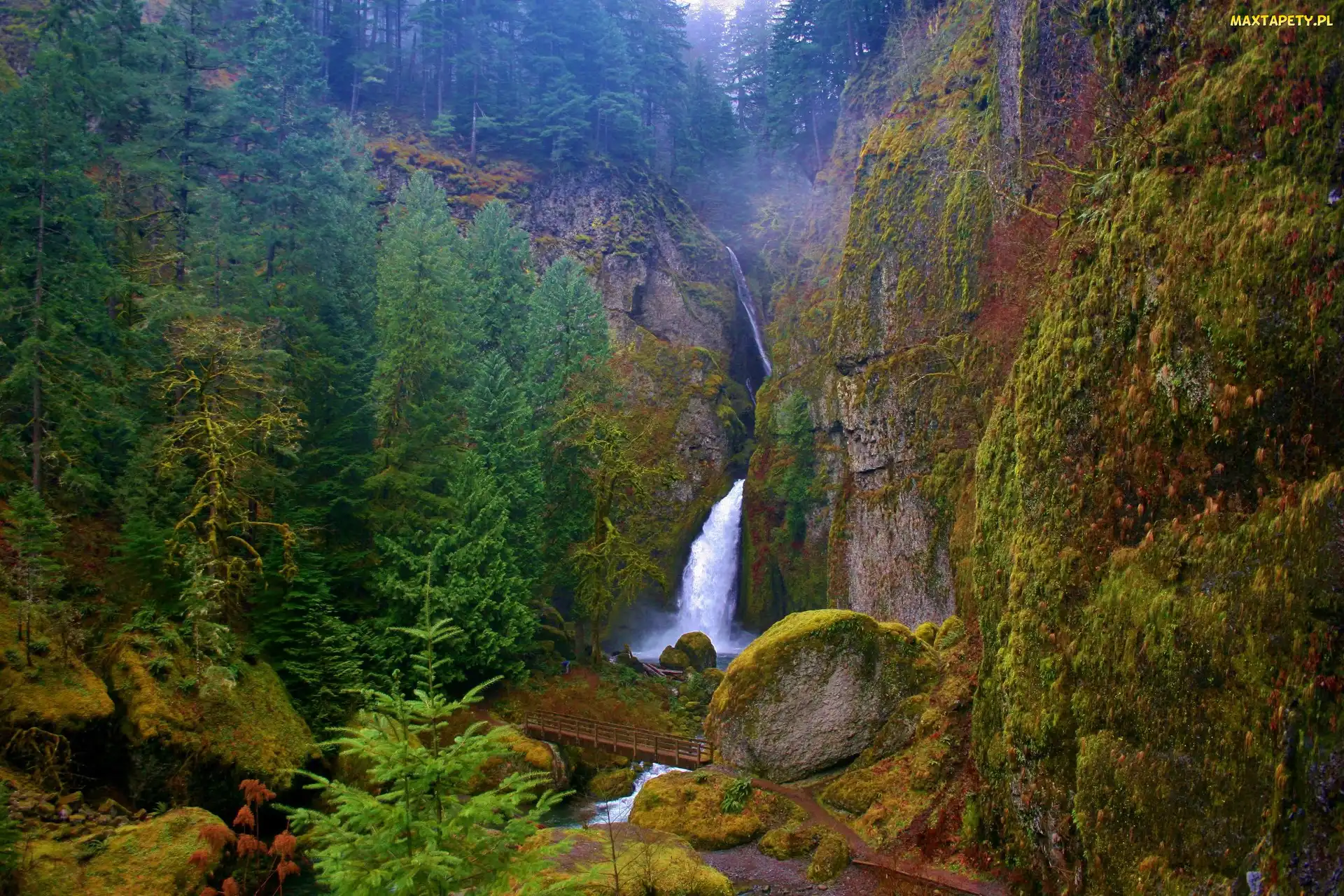 Skały, Oregon, Wahclella, Las, Wodospad