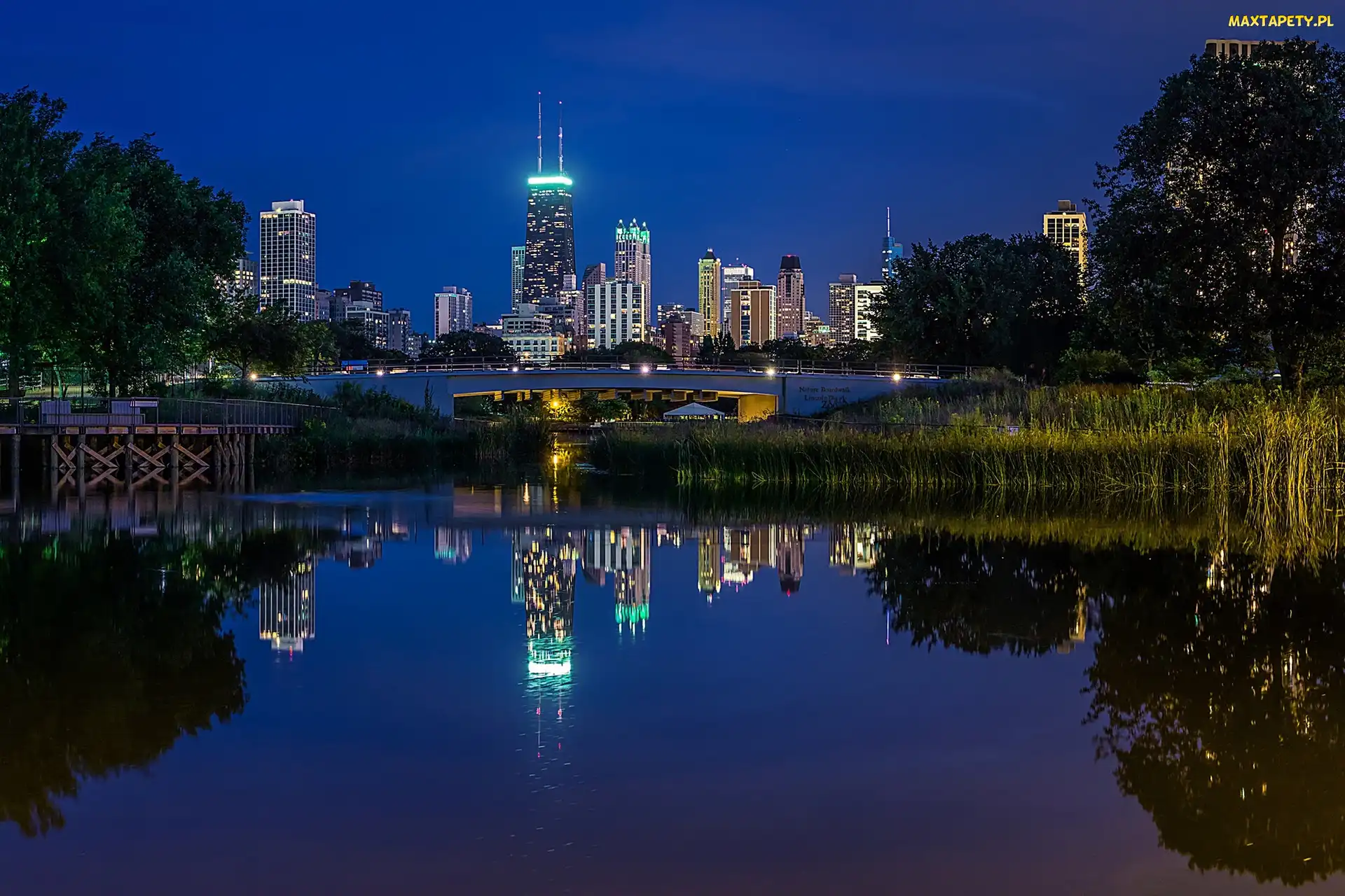 Noc, Most, Lincoln Park, Chicago, USA, Wieżowce