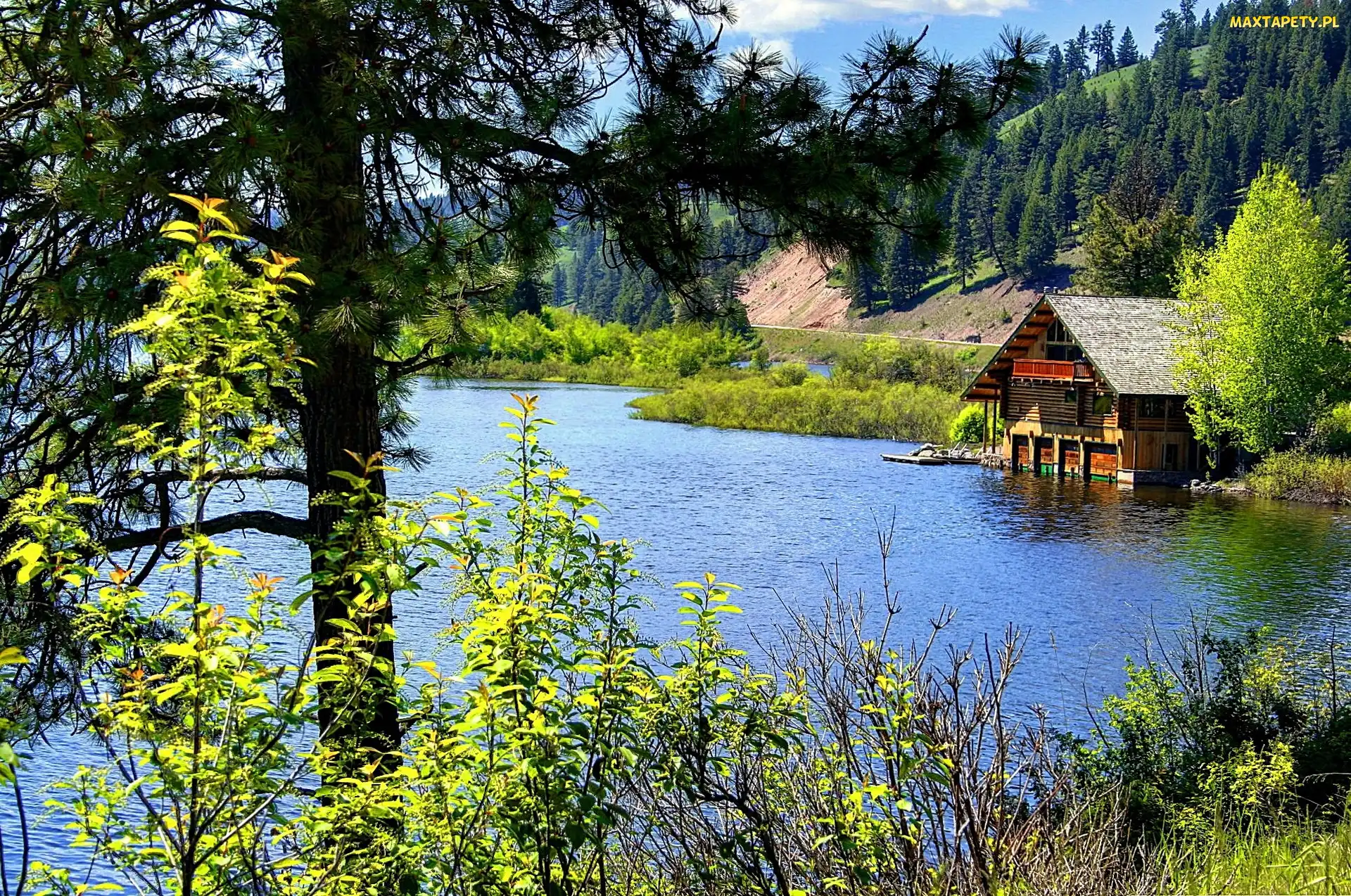 Las, Dom, Jezioro