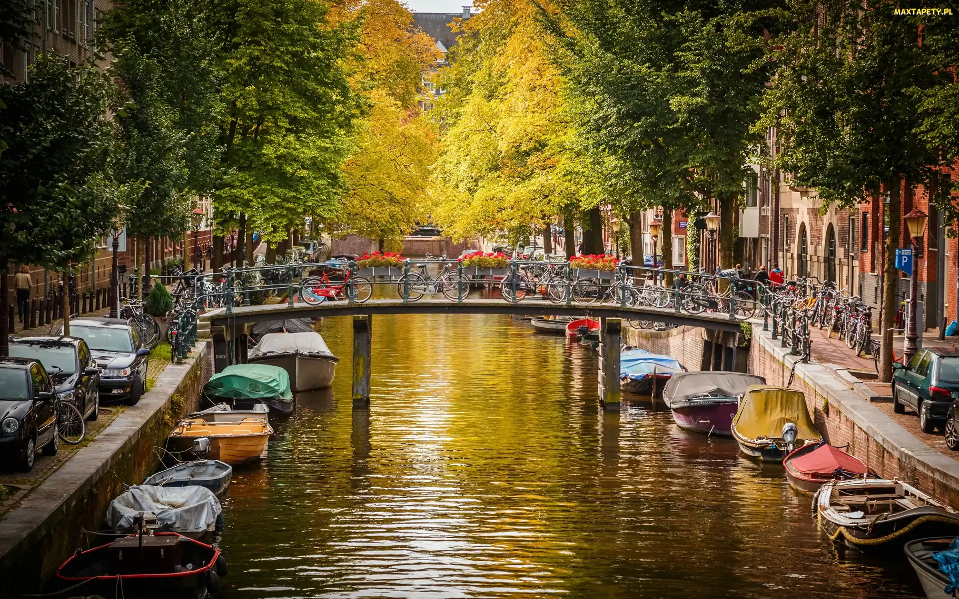 Jesień, Most, Amsterdam, Holandia, Kanał, Łodzie