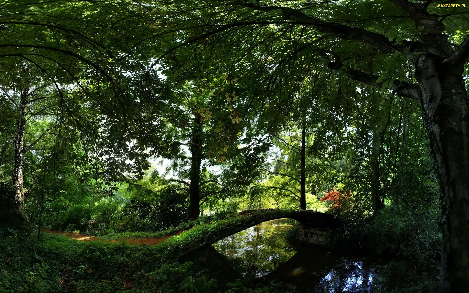 Mostek, Ławeczka, Park