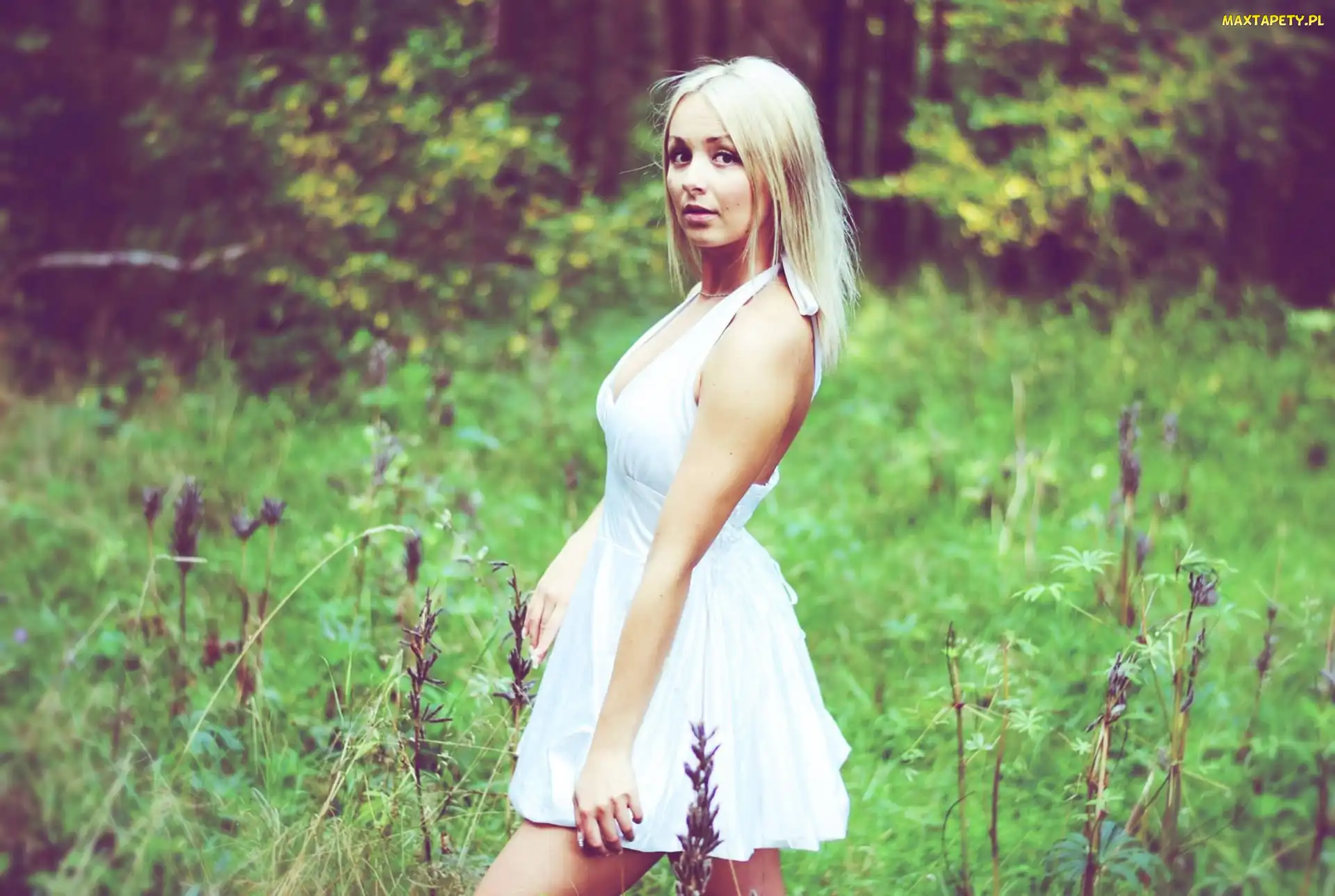 Sukienka, Biała, Kobieta, Blondynka