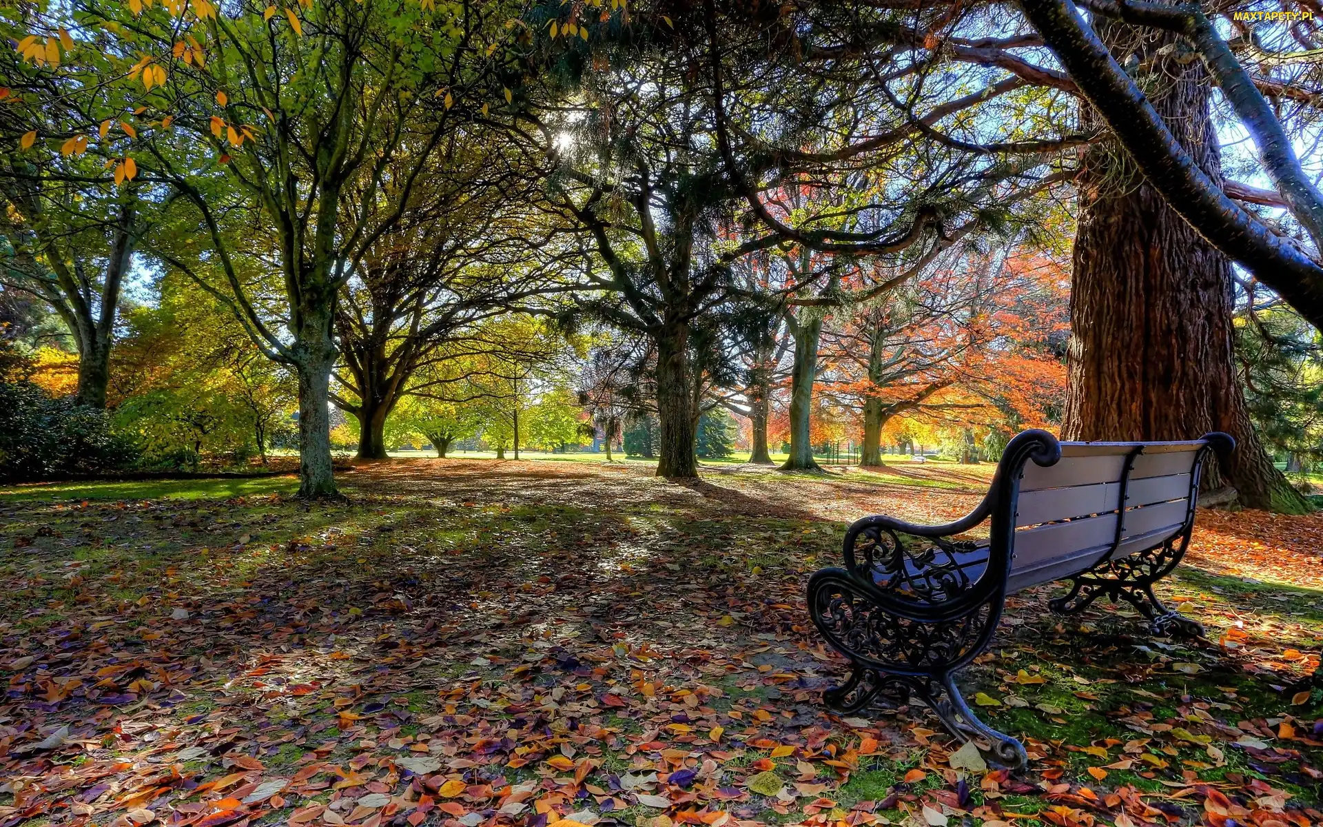 Ławka, Jesień, Park
