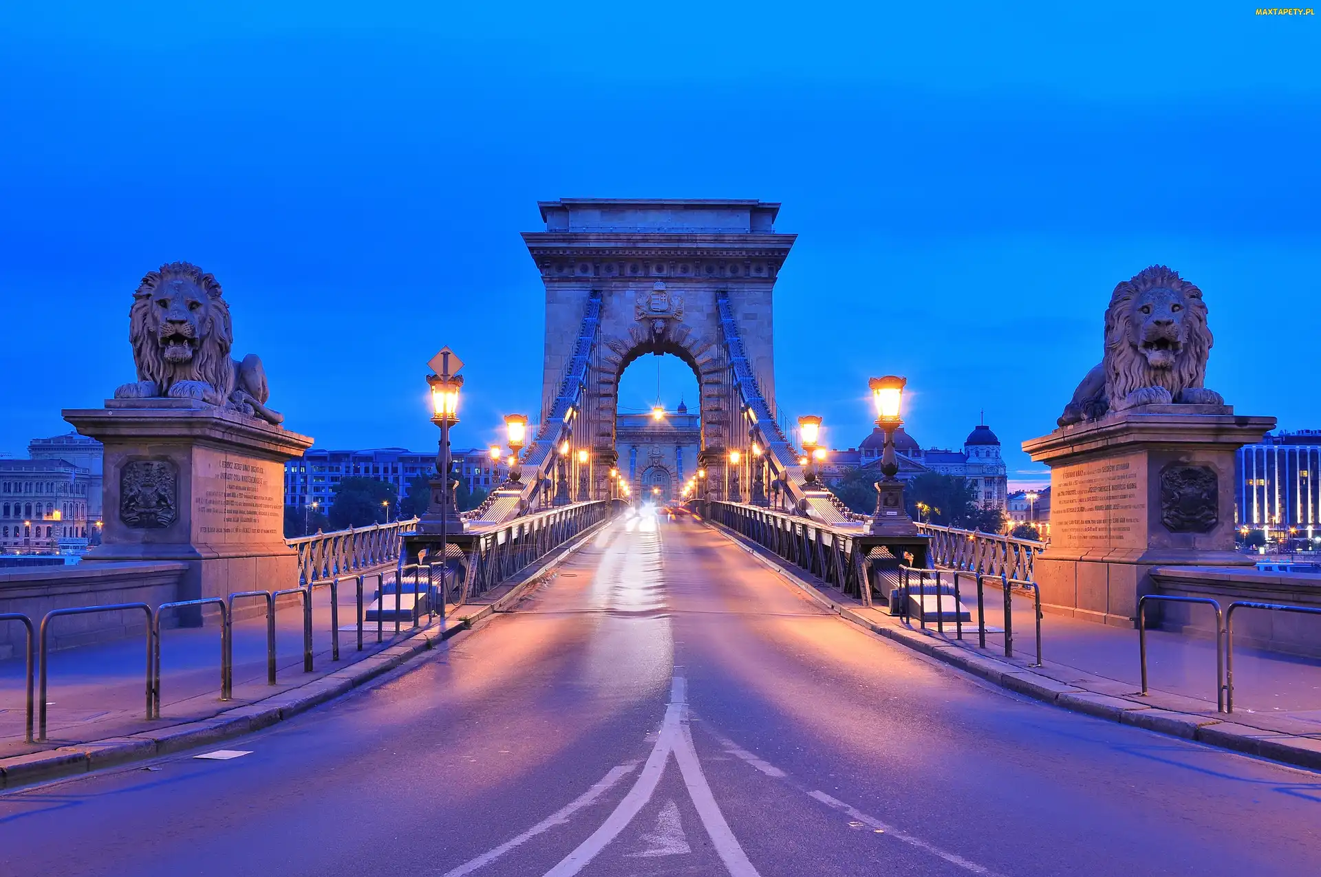 Budapeszt, Lwy, Posągi, Most Łańcuchowy, Węgry