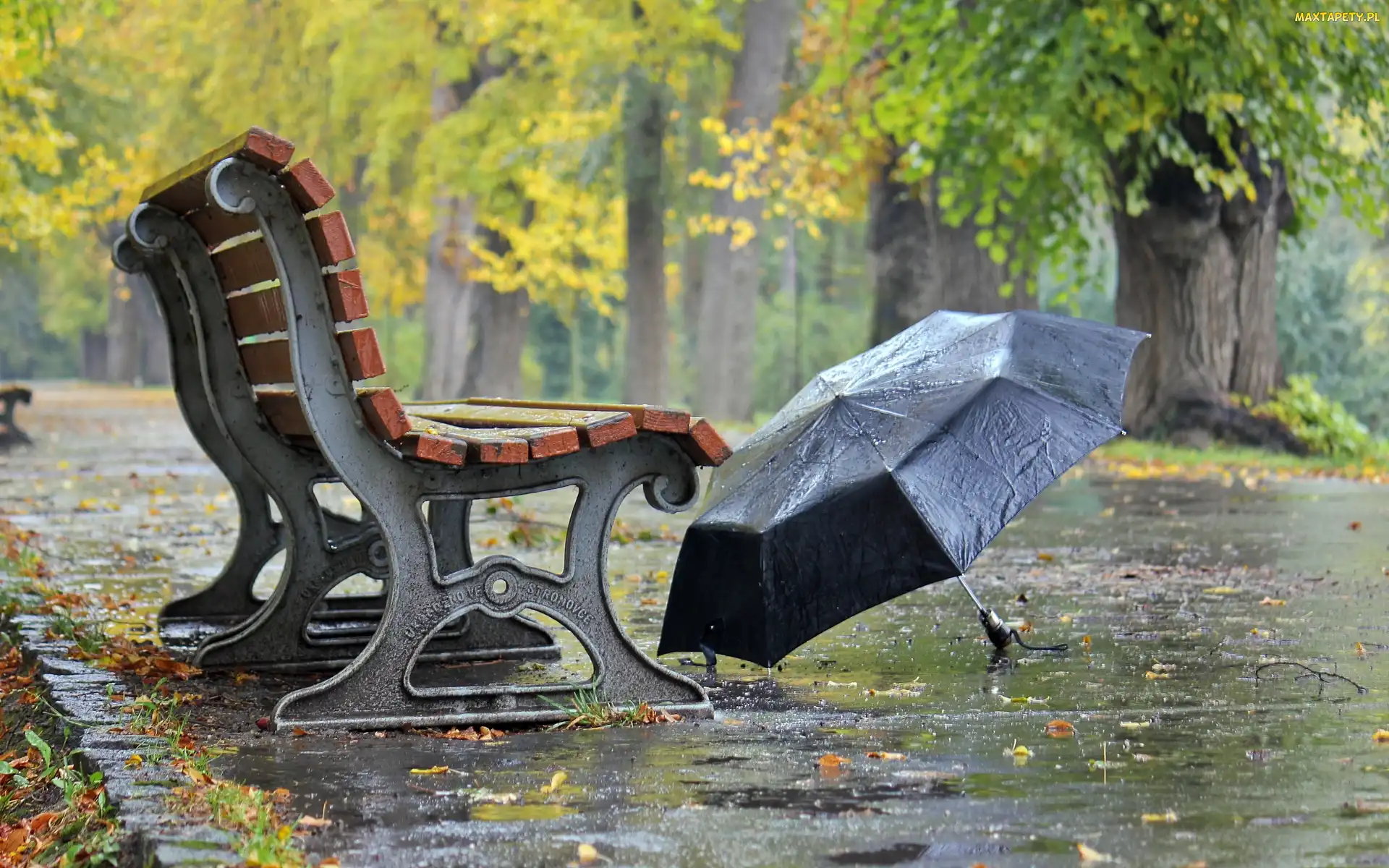 Park, Deszcz, Parasol, Jesień, Ławka