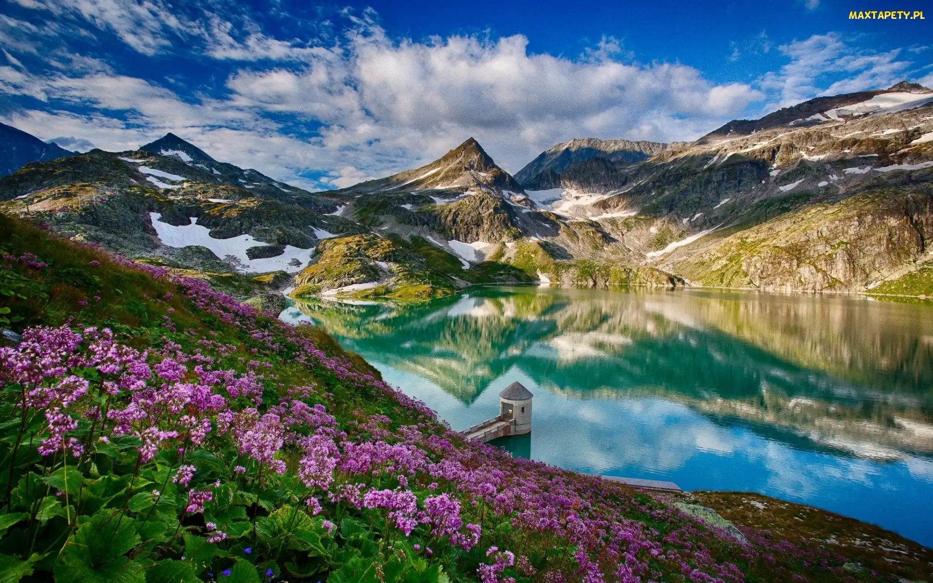 Różowe, Jezioro, Weisssee, Kwiaty, Alpy, Austria, Góry