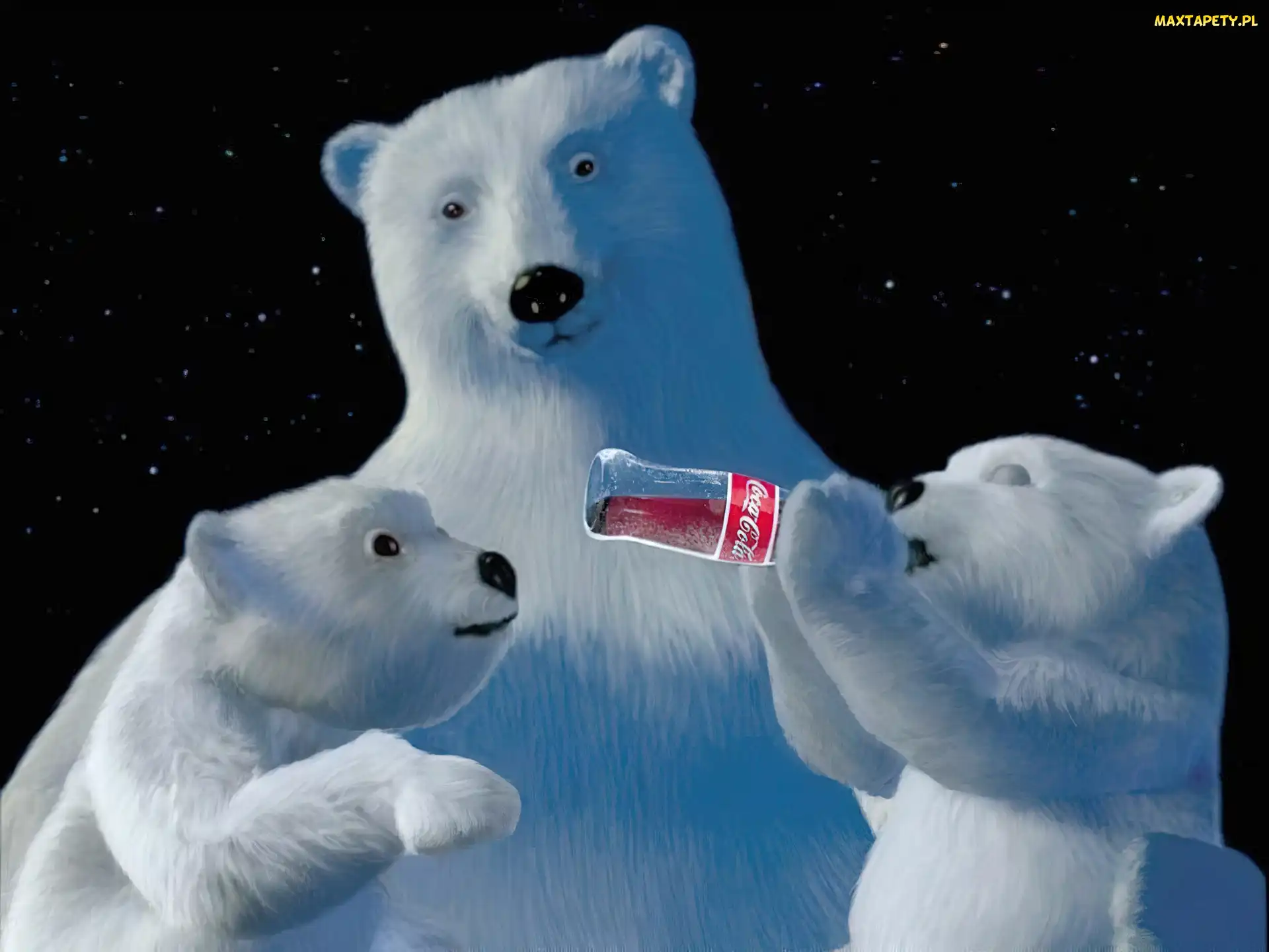 Coca Cola , niedźwiadki, Boże Narodzenie