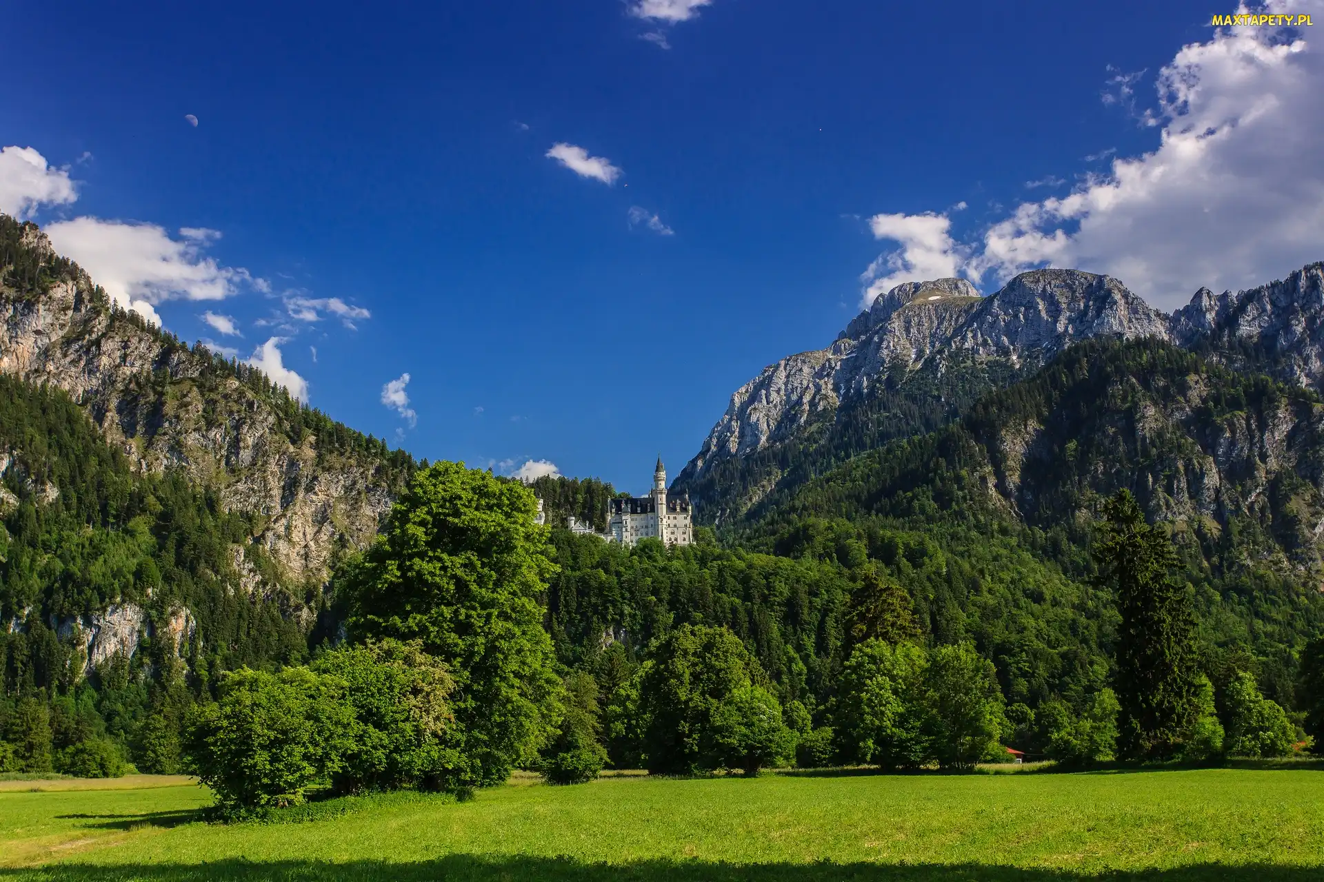 Niemcy, Bawaria, Zamek, Neuschwanstein