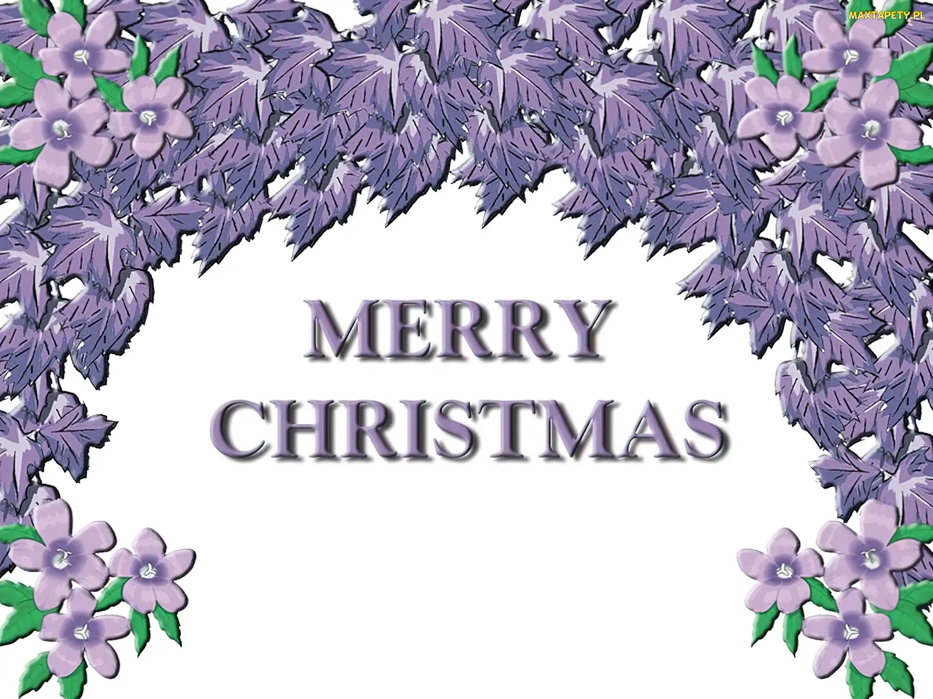 Boże Narodzenie, Merry Christmas
