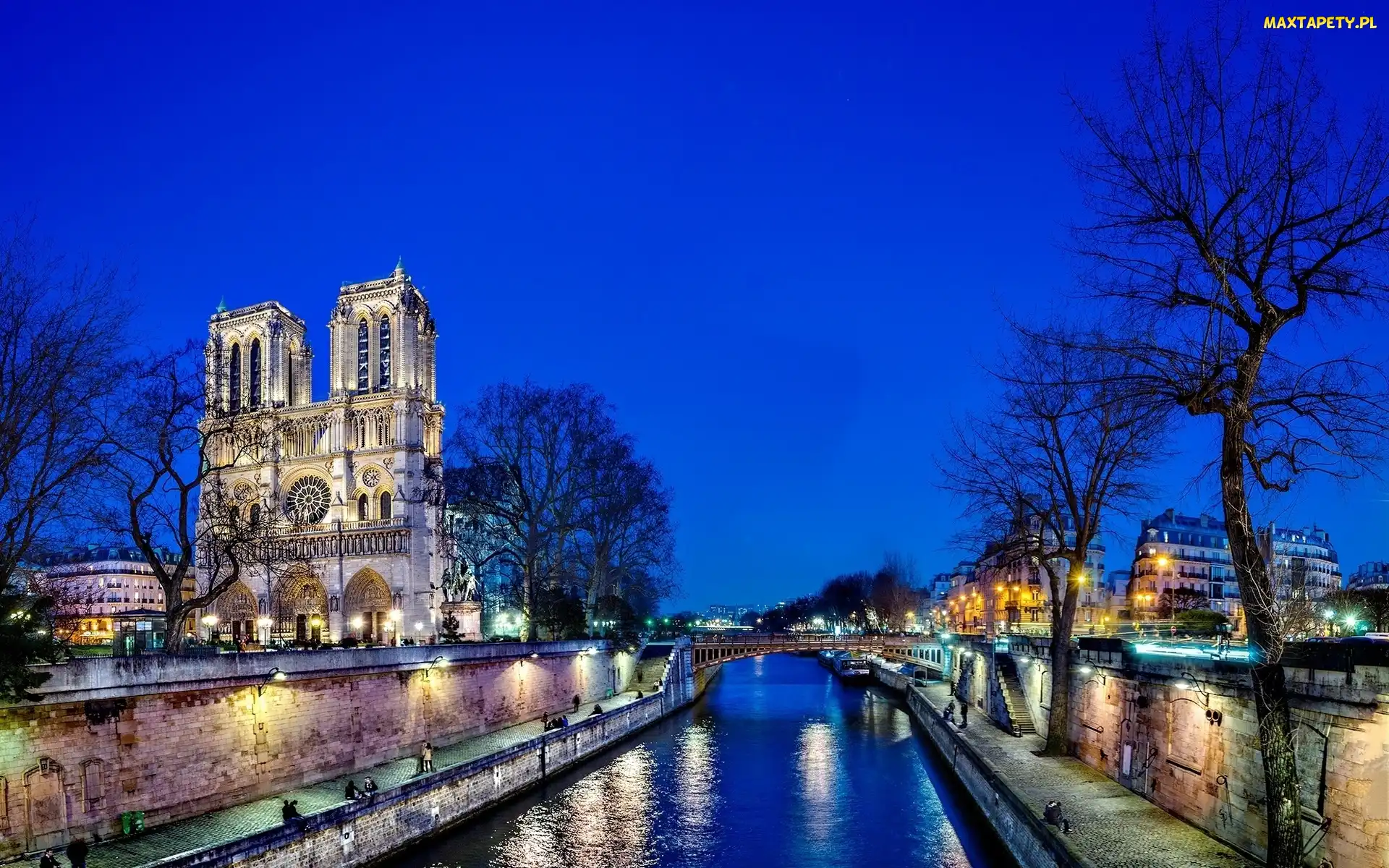 Francja, Paryż, Katedra, Notre Dame
