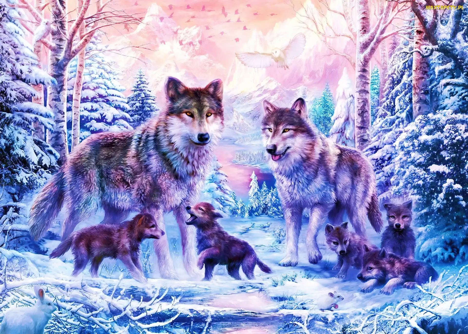 Śnieg, Drzewa, Wilki