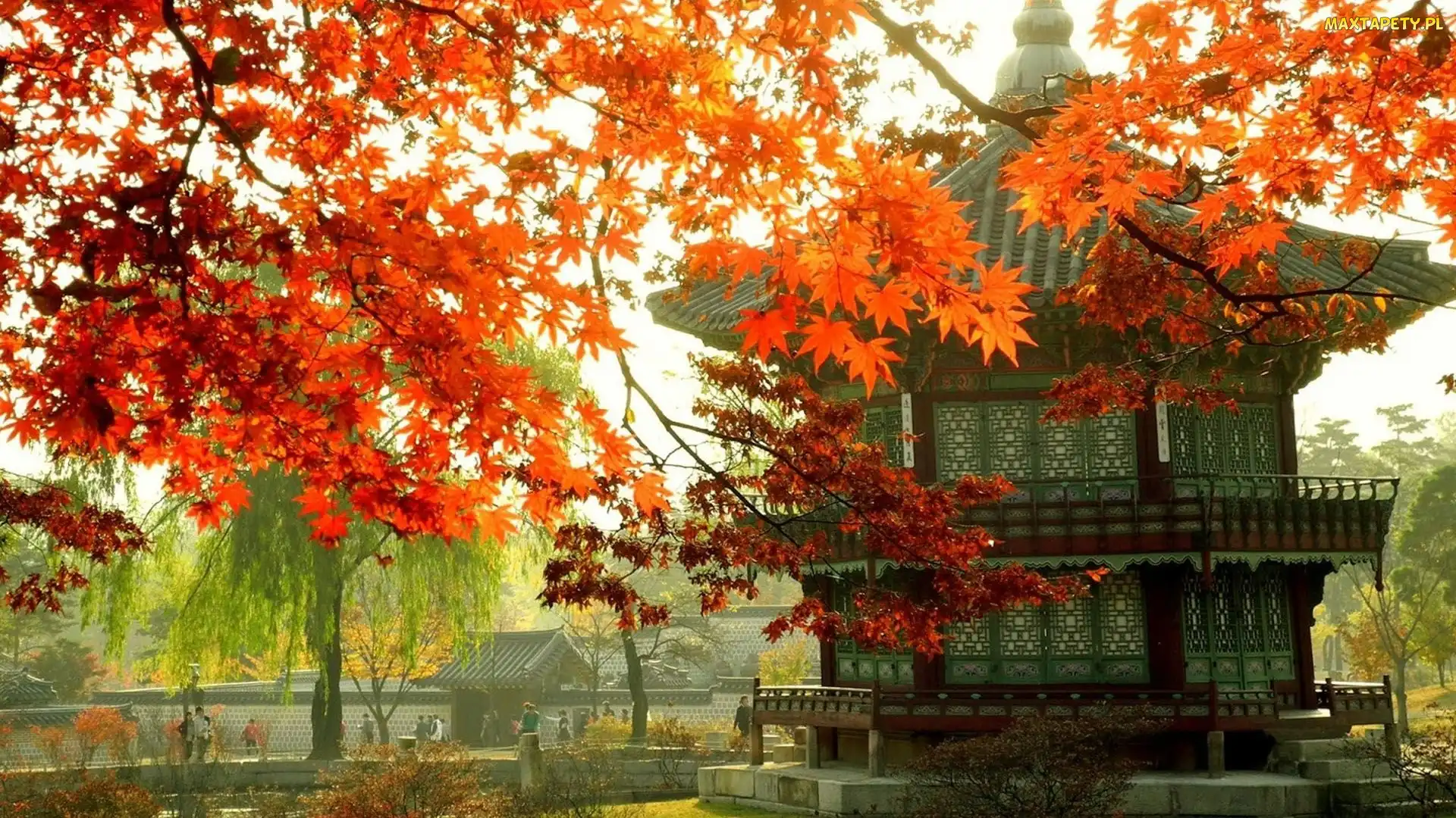 Gałęzie, Korea, Seul, Jesień, Pałacyk