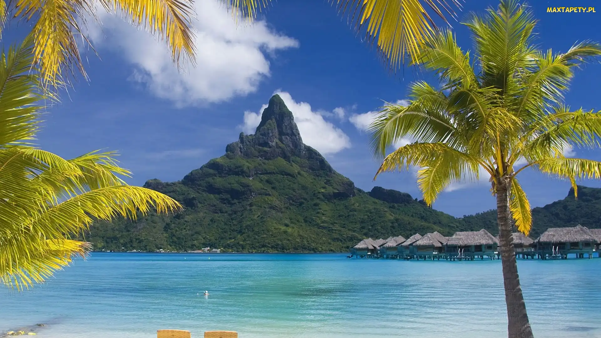 Bora Bora, Palmy, Góra, Morze