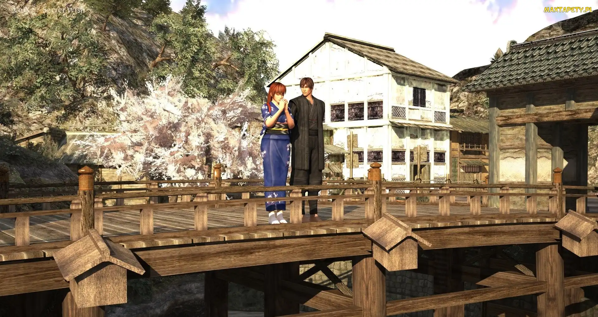 Dead Or Alive 5, Ryu Hayabusa, Kasumi