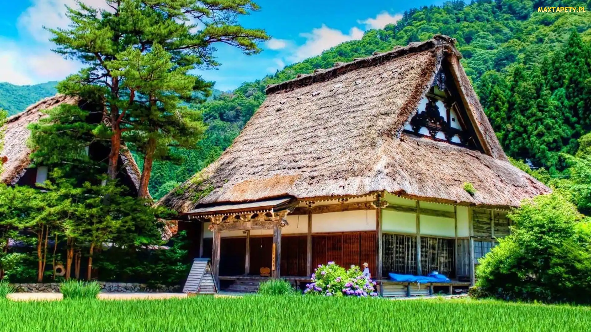 Ogród, Japonia, Dom
