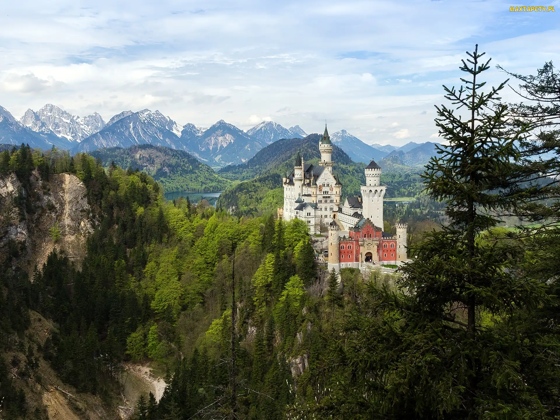 Lasy, Góry, Zamek, Neuschwanstein