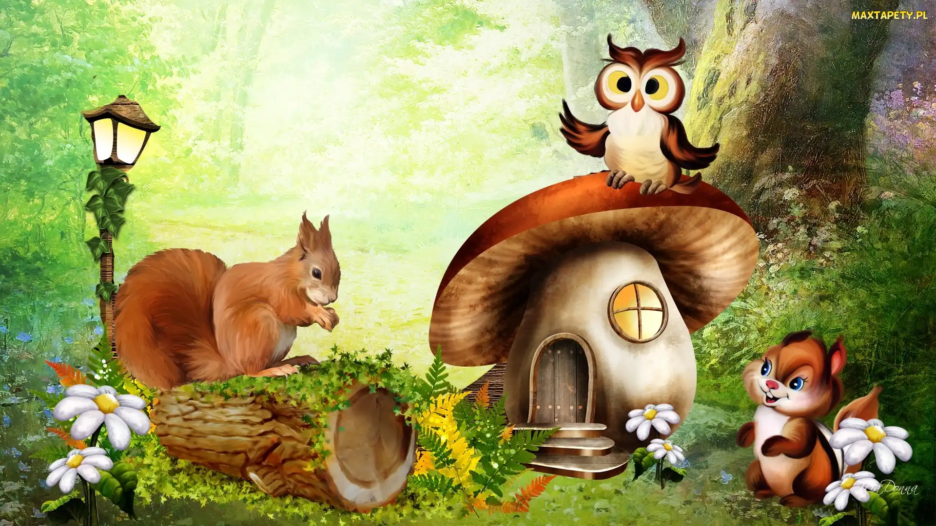 Wiewiórka, Domek, Sowa