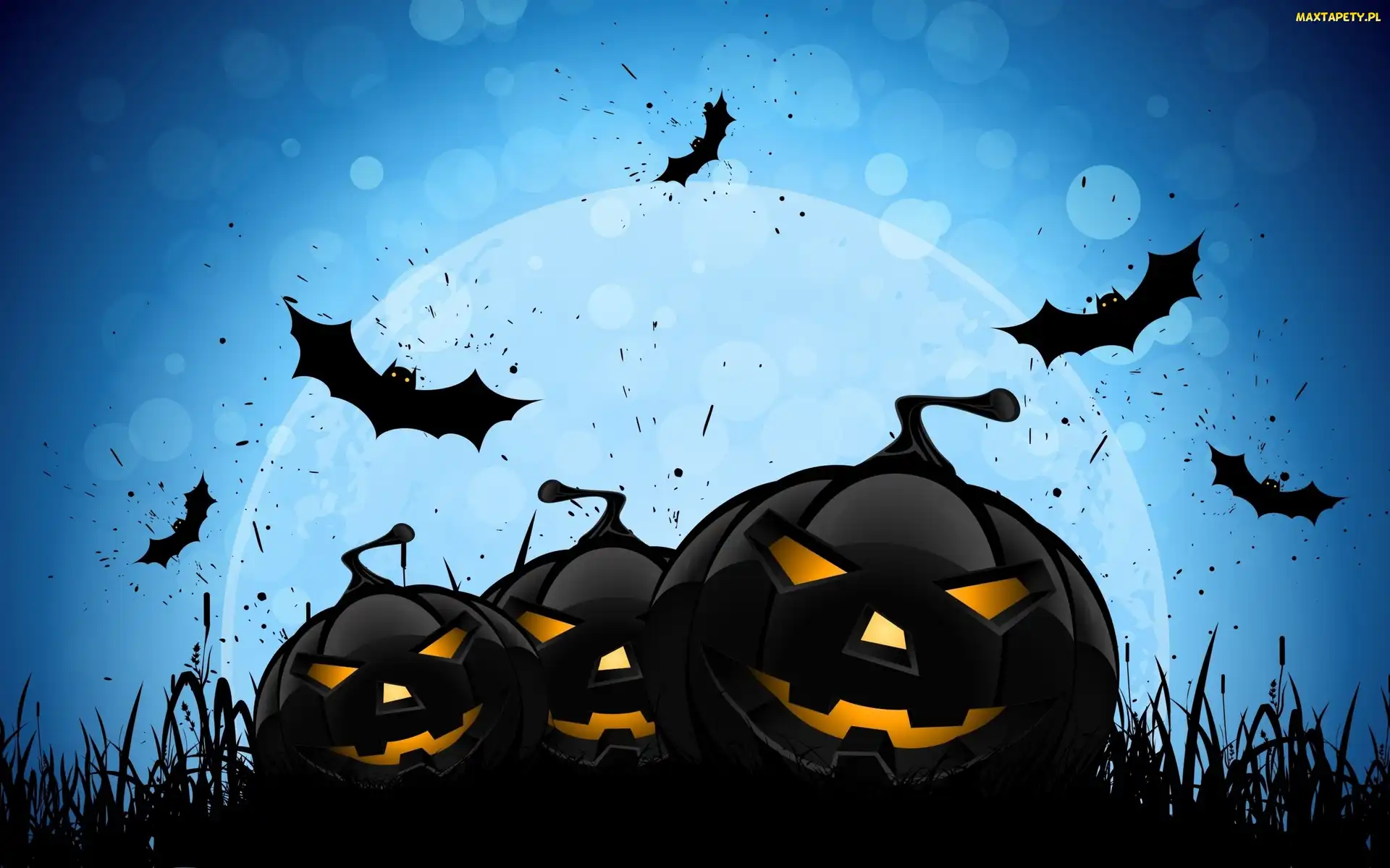 Nietoperze, Halloween, Dynie
