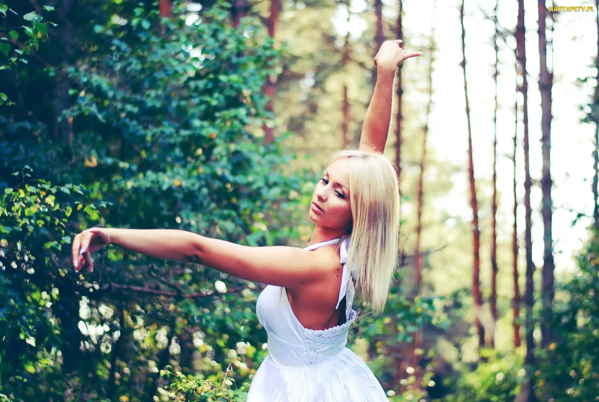 Blondynka, Las, Kobieta