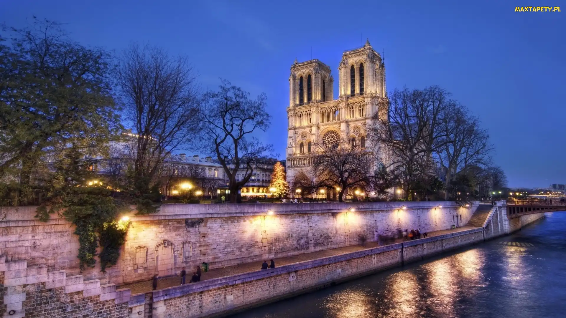 Paryż, Notre Dame, Francja, Katedra