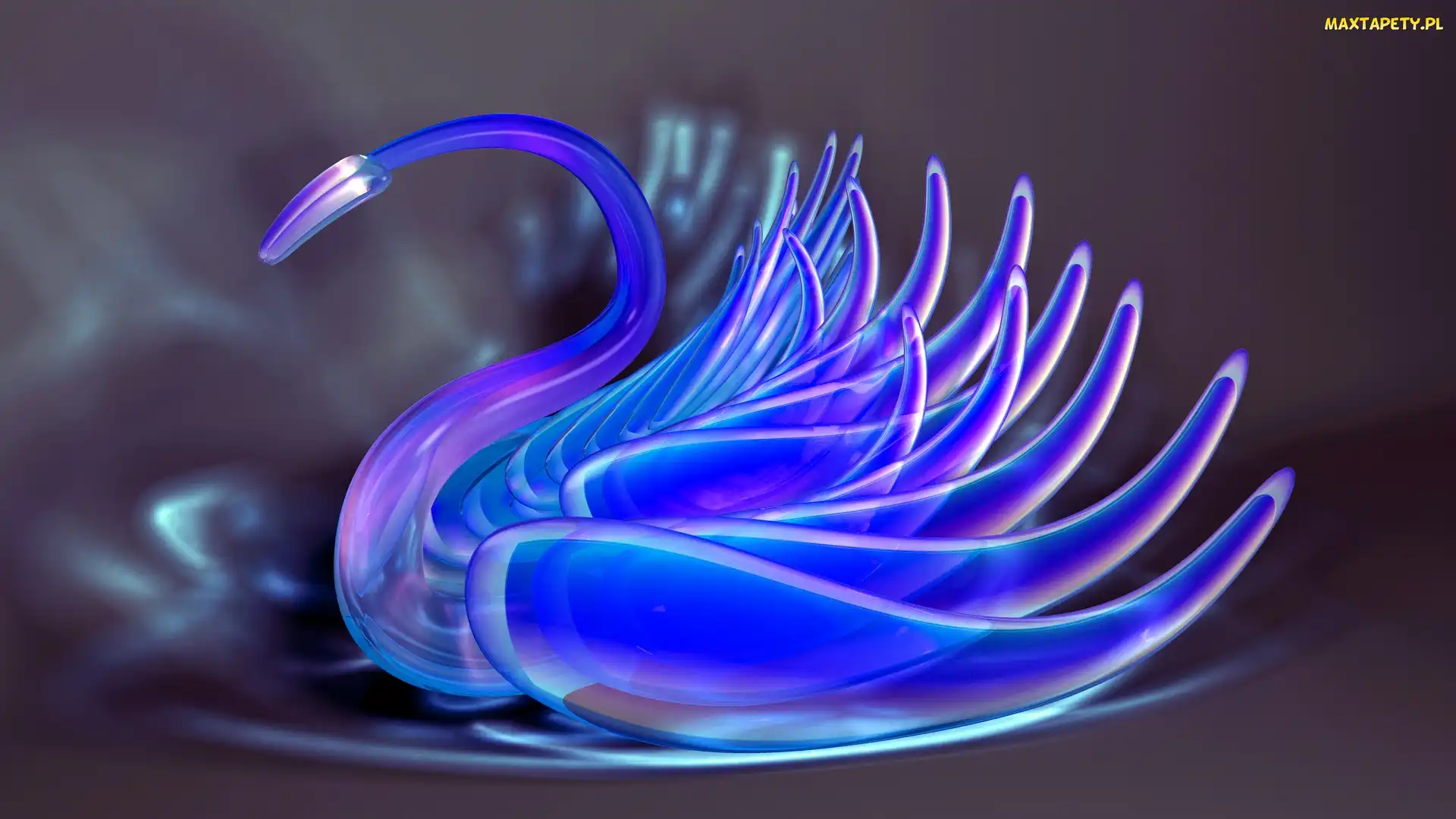 Łabędź, 3D, Grafika