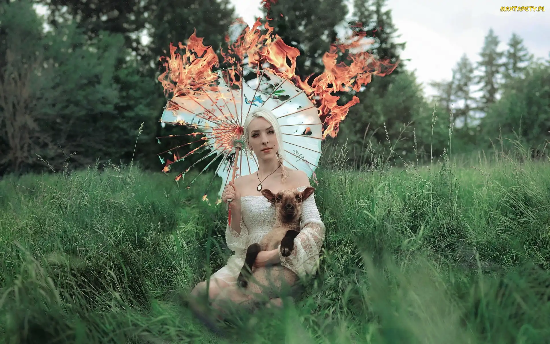 Trawy, Parasol, Blondynka, Kobieta, Owieczka, Płonący