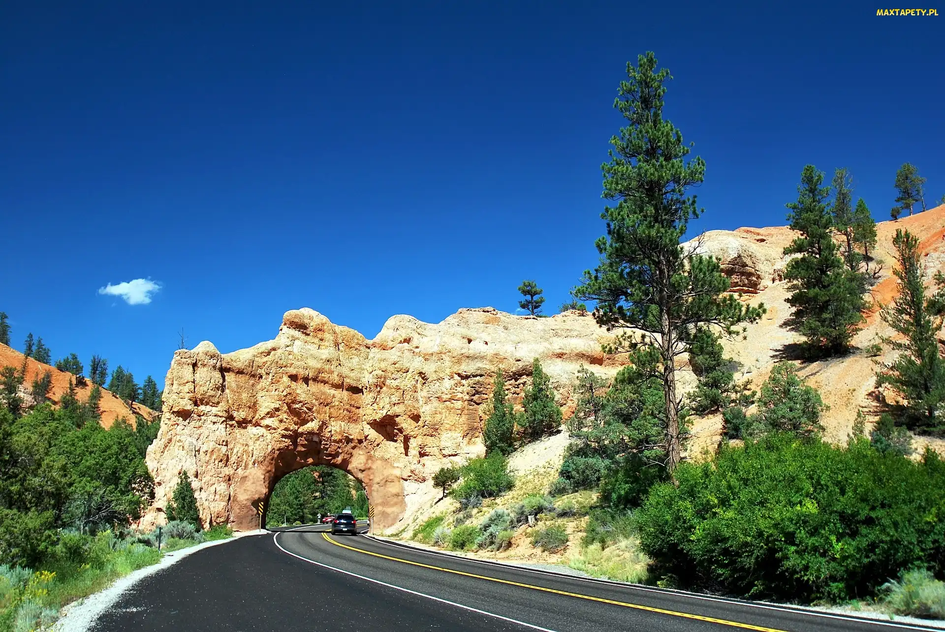 Droga, USA, Utah, Czerwony Kanion