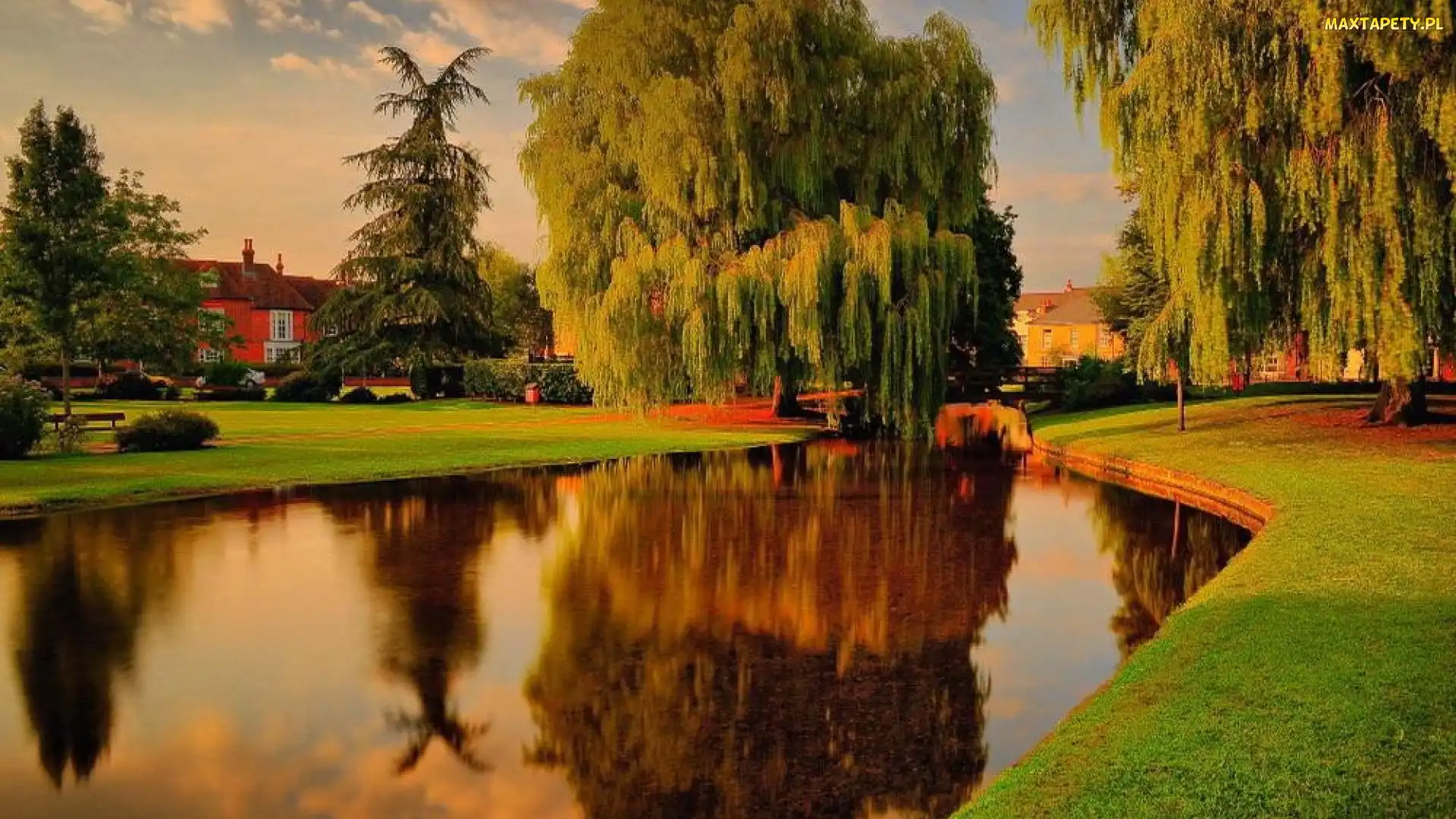 Dom, Staw, Jesień, Park