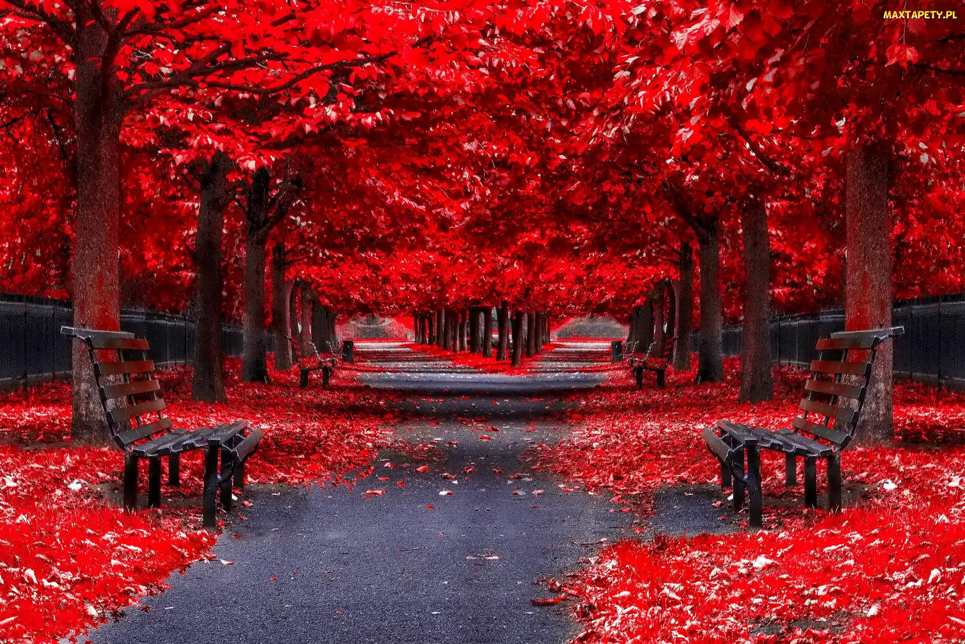 Alejki, Ławki, Park