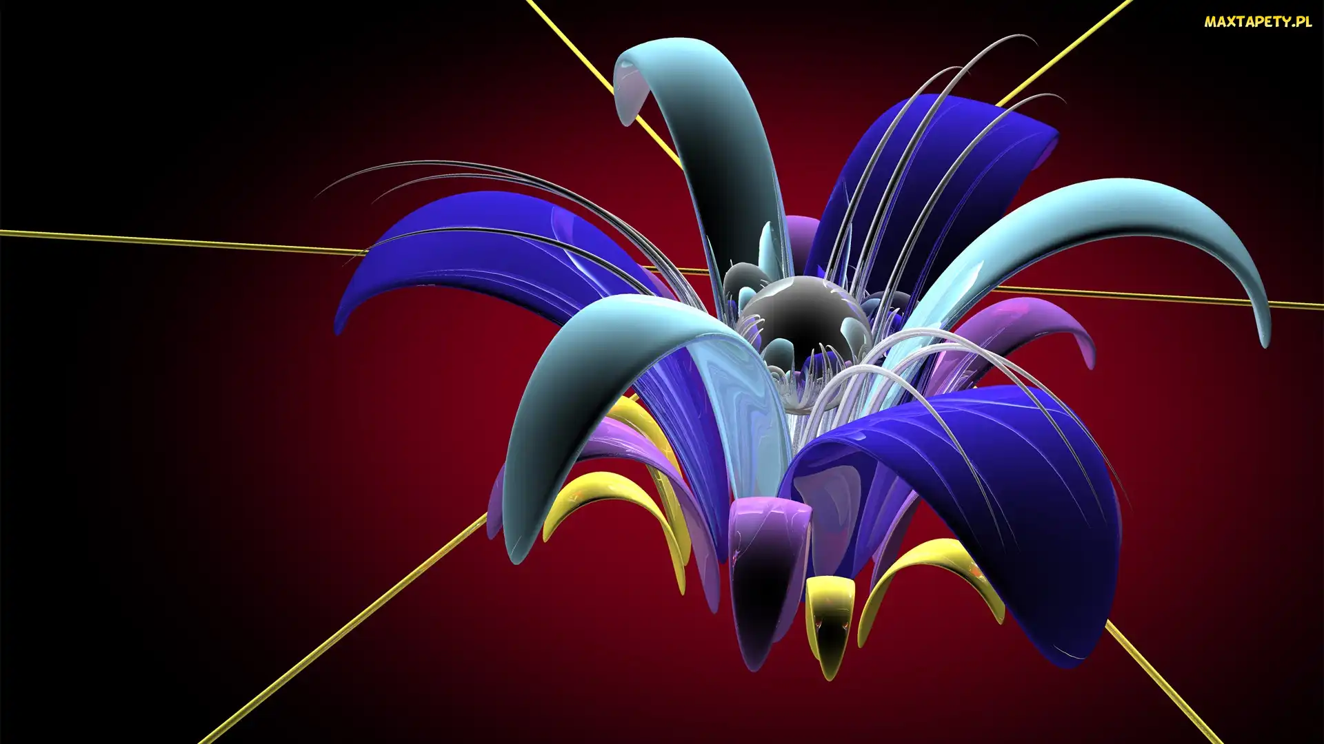 Abstrakcja, 3D, Grafika, Kwiat