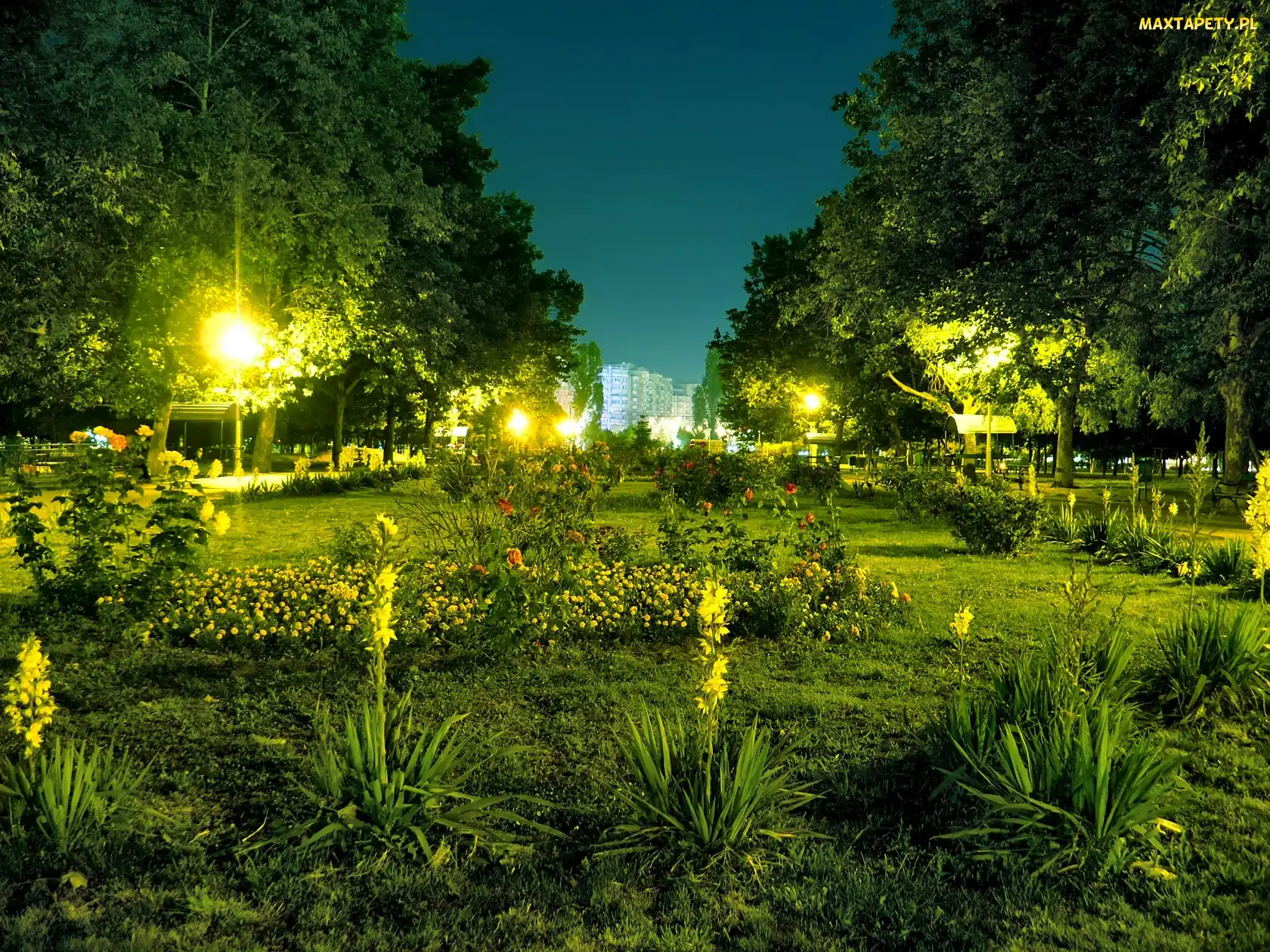Bukareszt, Nocą, Park, Crangasi