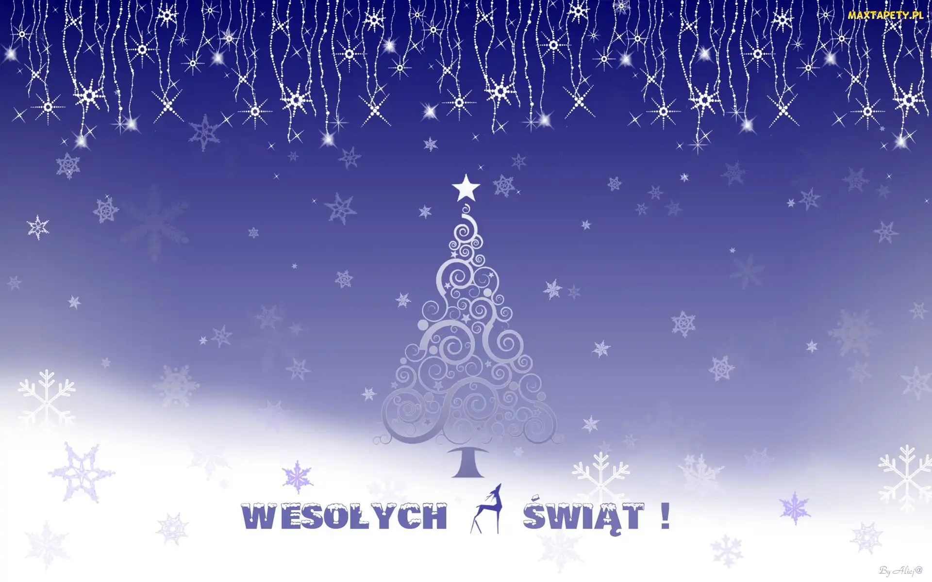 Gwiazdki, Napis, Choinka
