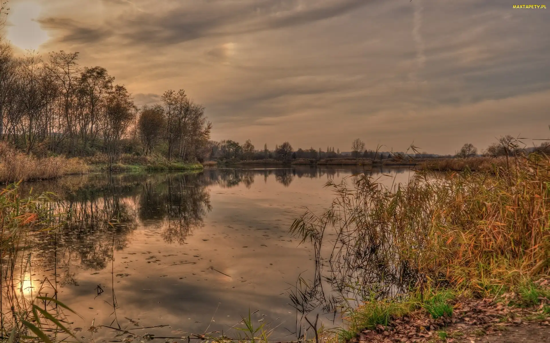 Zachód, Roślinność, Jezioro, Słońca