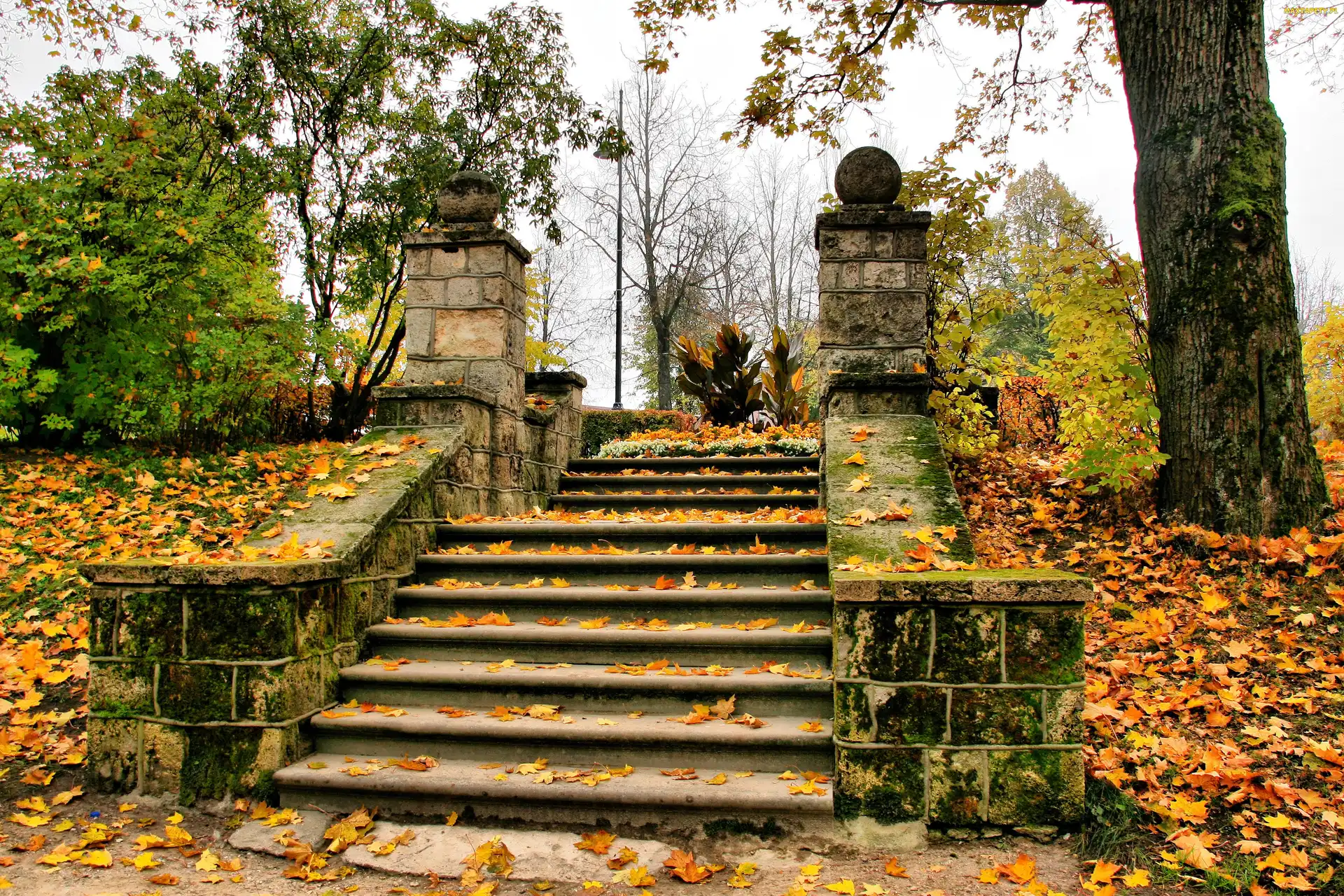 Jesień, Park, Brama, Liście, Schody, Drzewa