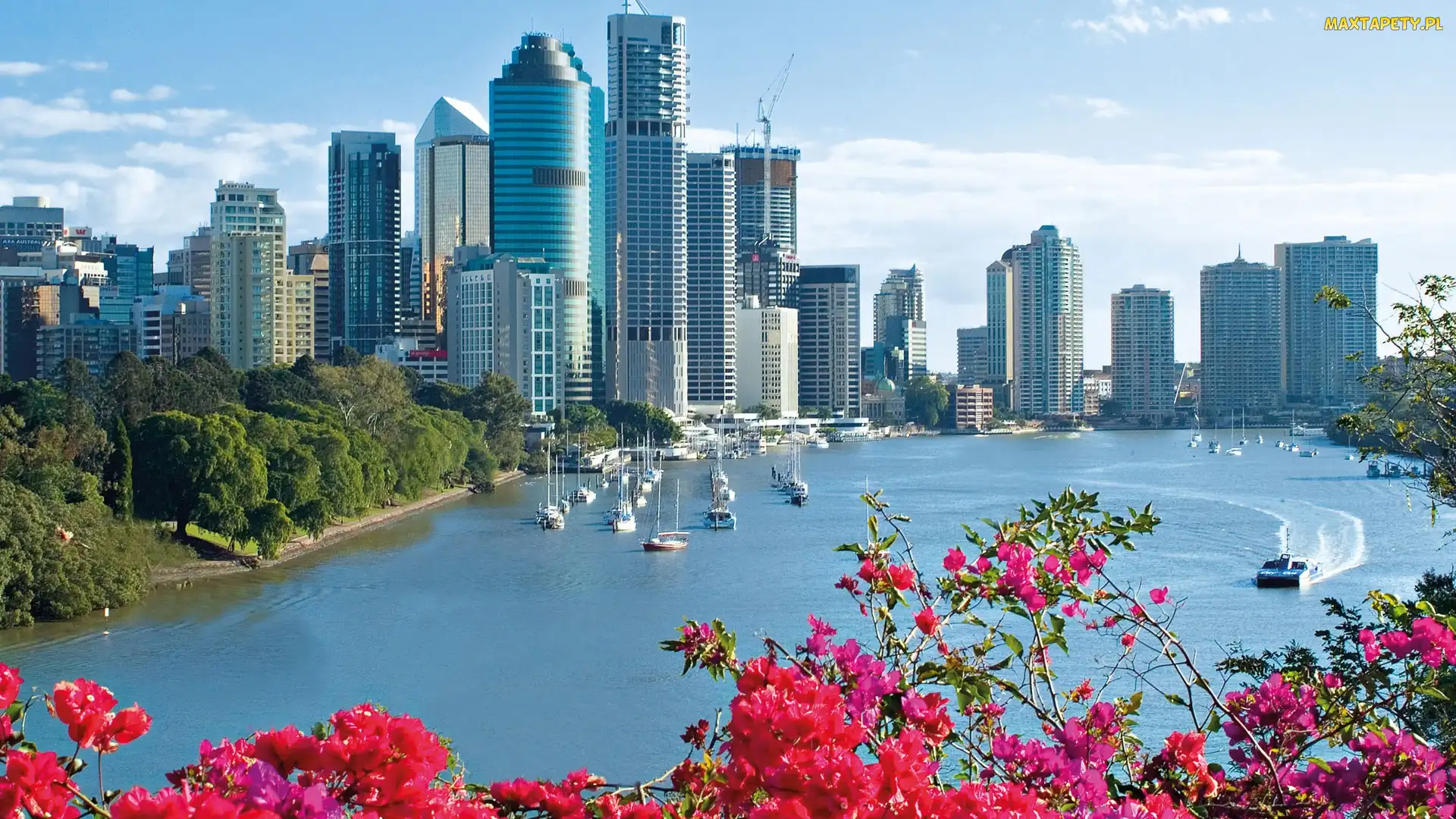 Australia, Brisbane, Domy, Kwiatki