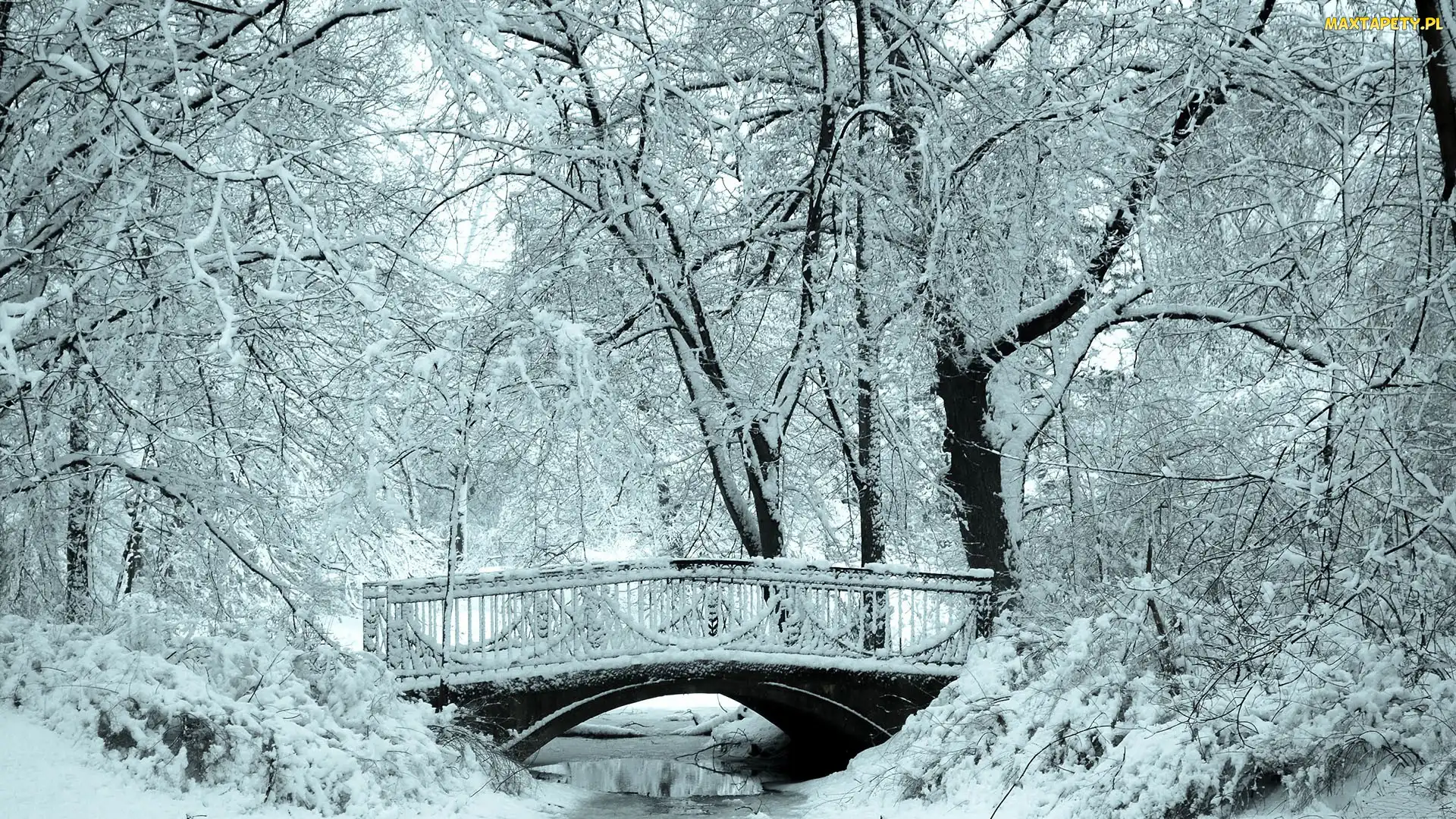 Zima, Park, Rzeka, Mostek