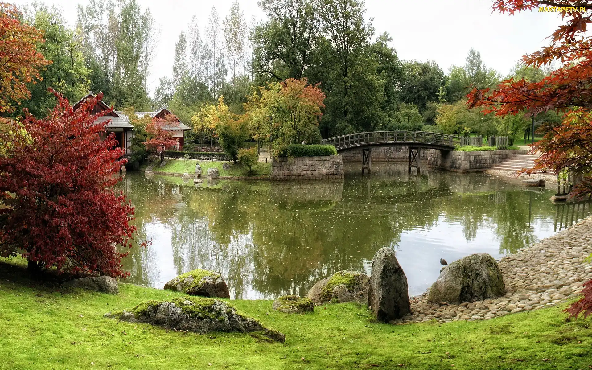 Jesień, Drzewa, Rzeczka, Park, Mostek, Kolorowe