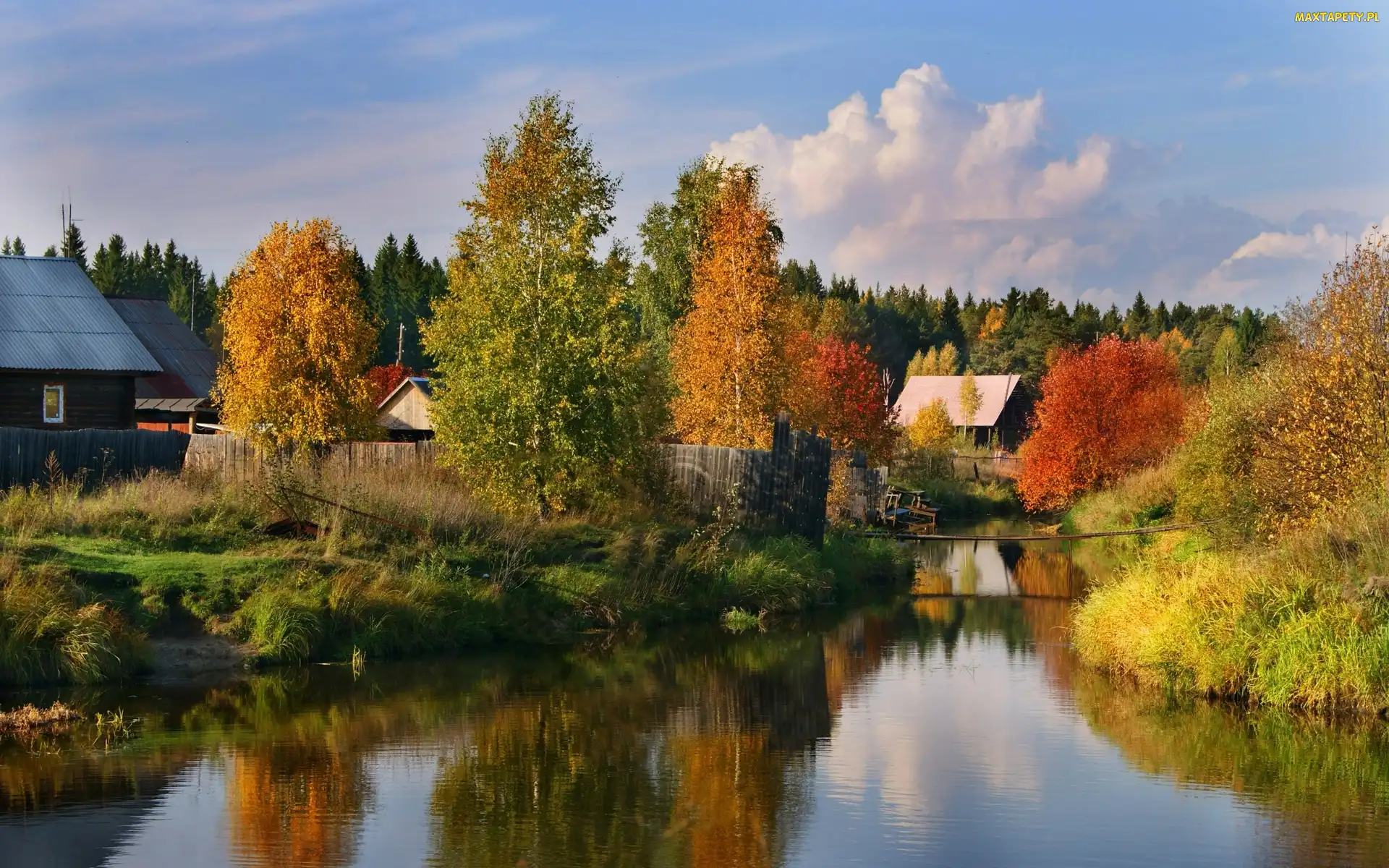 Rzeczka, Zabudowania, Jesień, Kolorowe, Drzewa, Las
