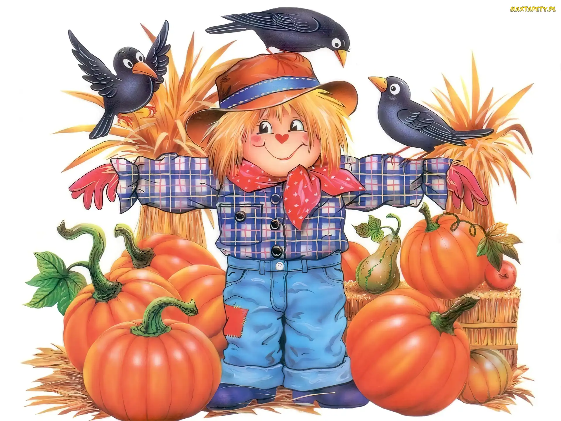 dynie , strach na wróble, Halloween