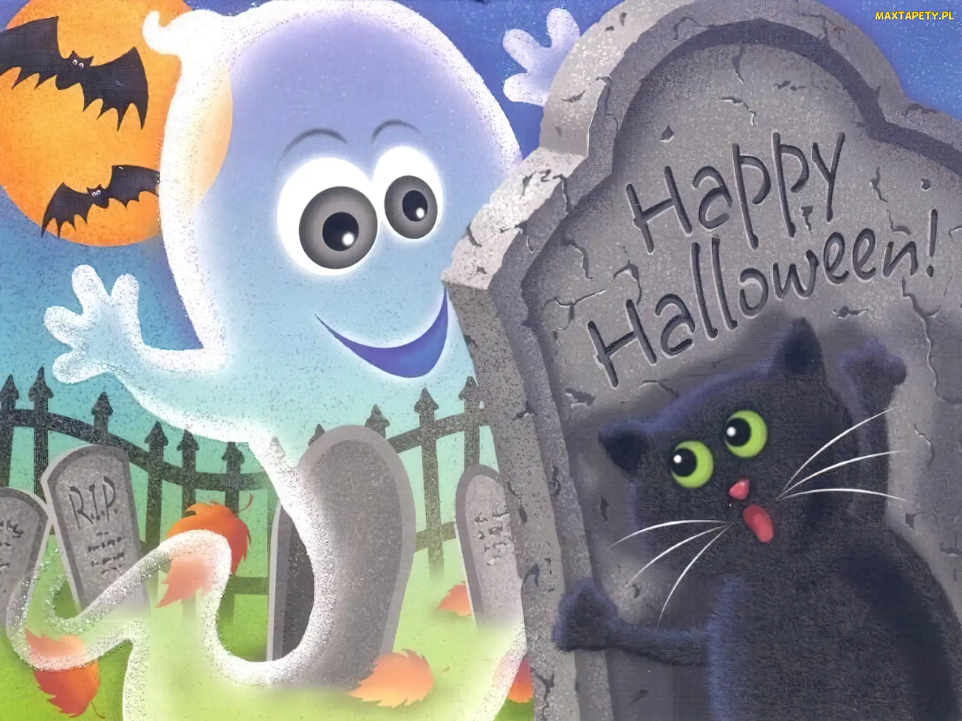 cmentarz, kot, Halloween